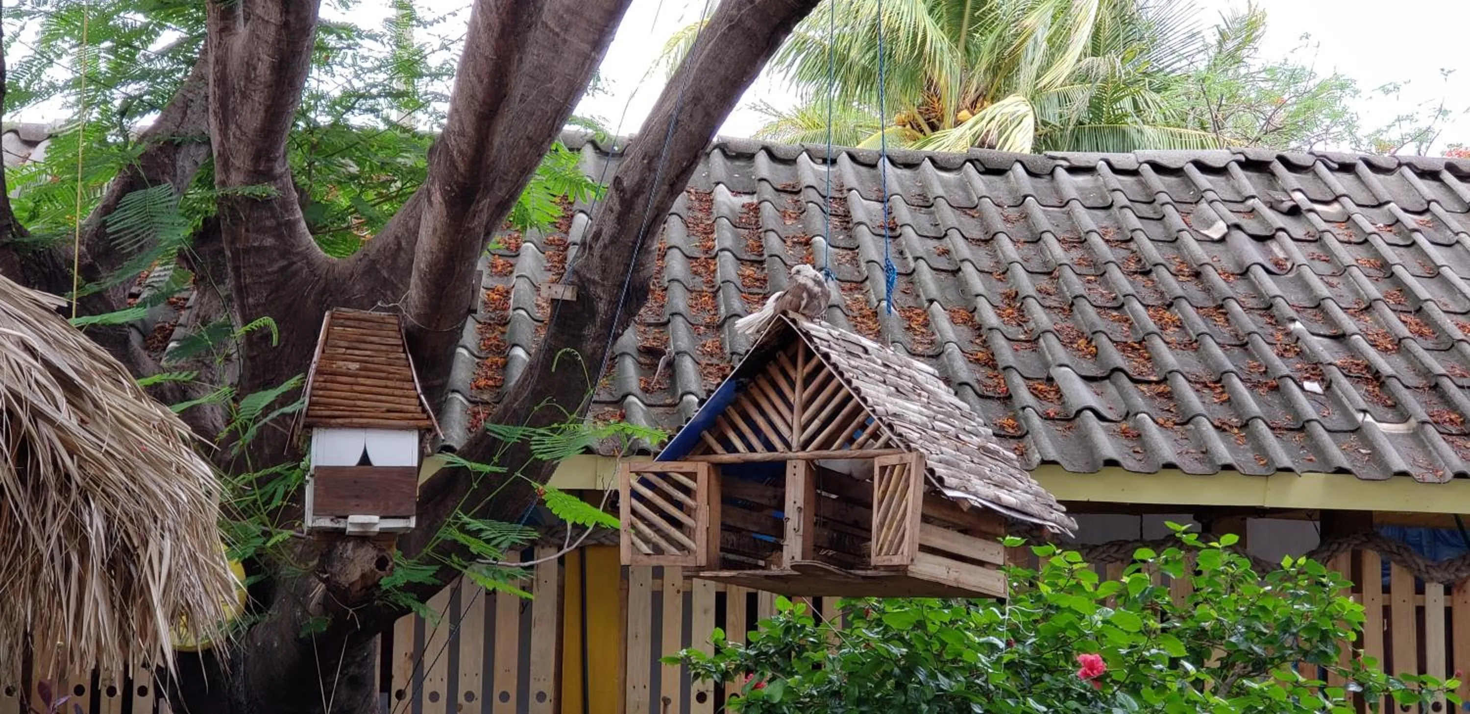 Property building in Hotel Restaurante Spa La Barca de Oro