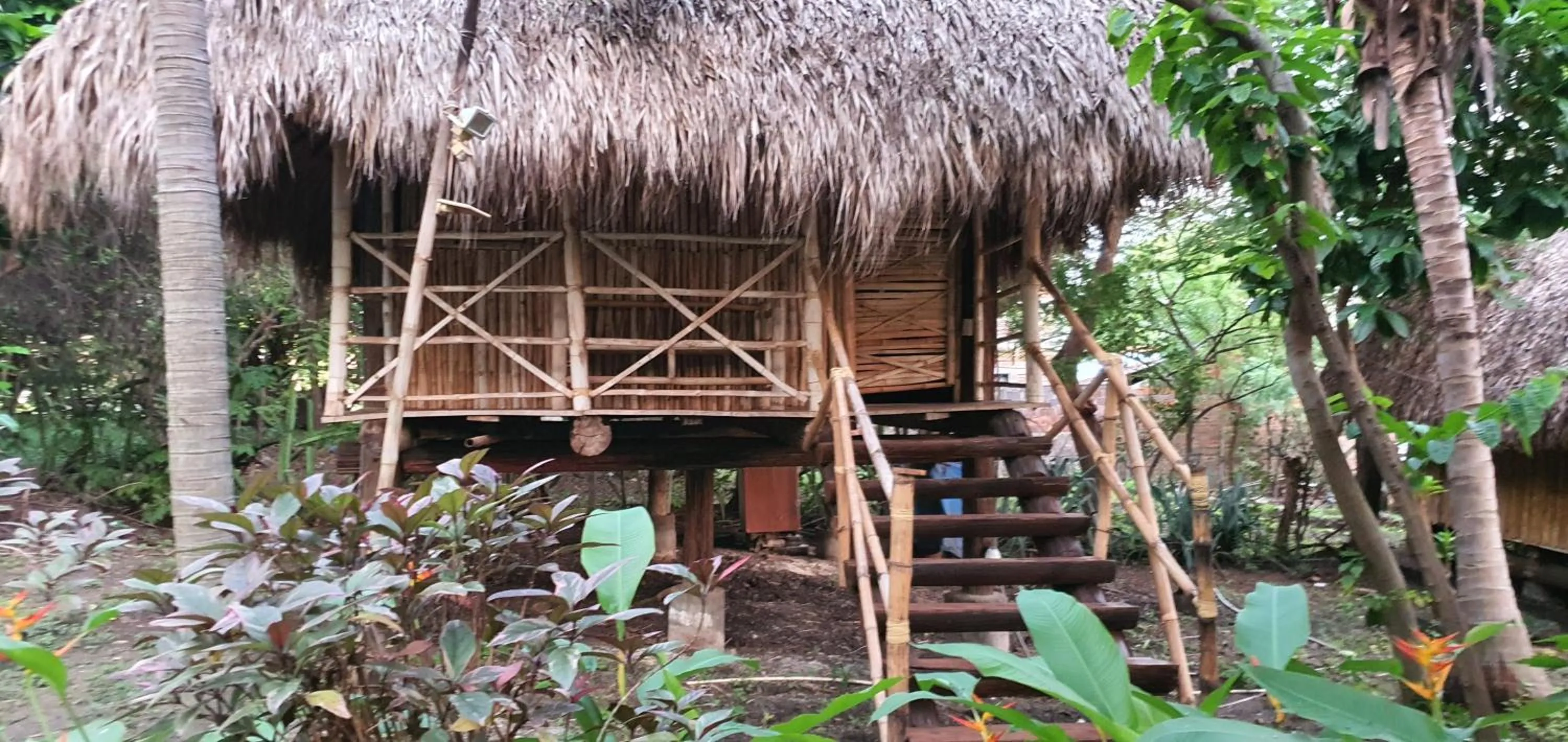 Spring in Hotel Restaurante Spa La Barca de Oro