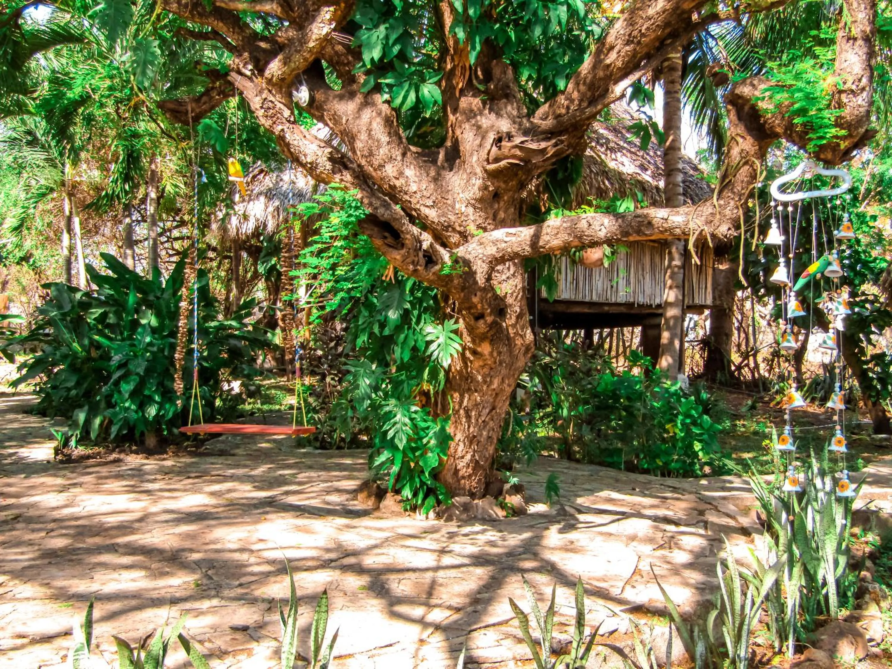 Spring in Hotel Restaurante Spa La Barca de Oro