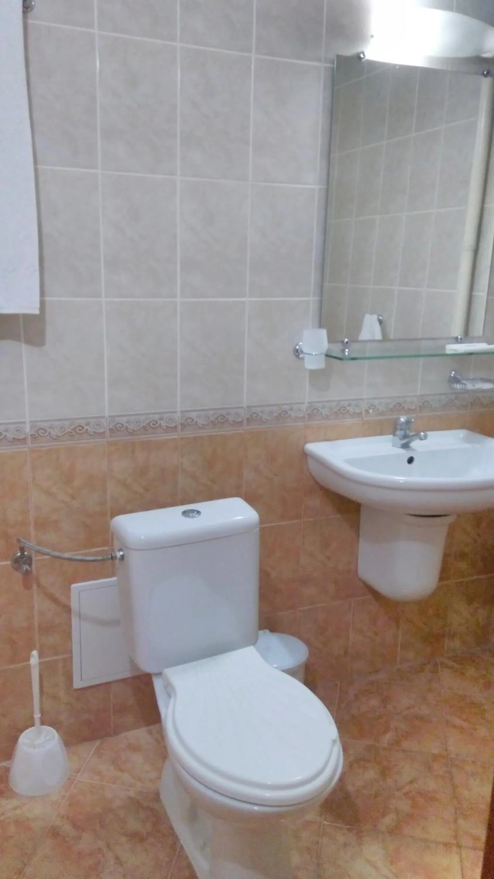 Bathroom in Hotel Bor