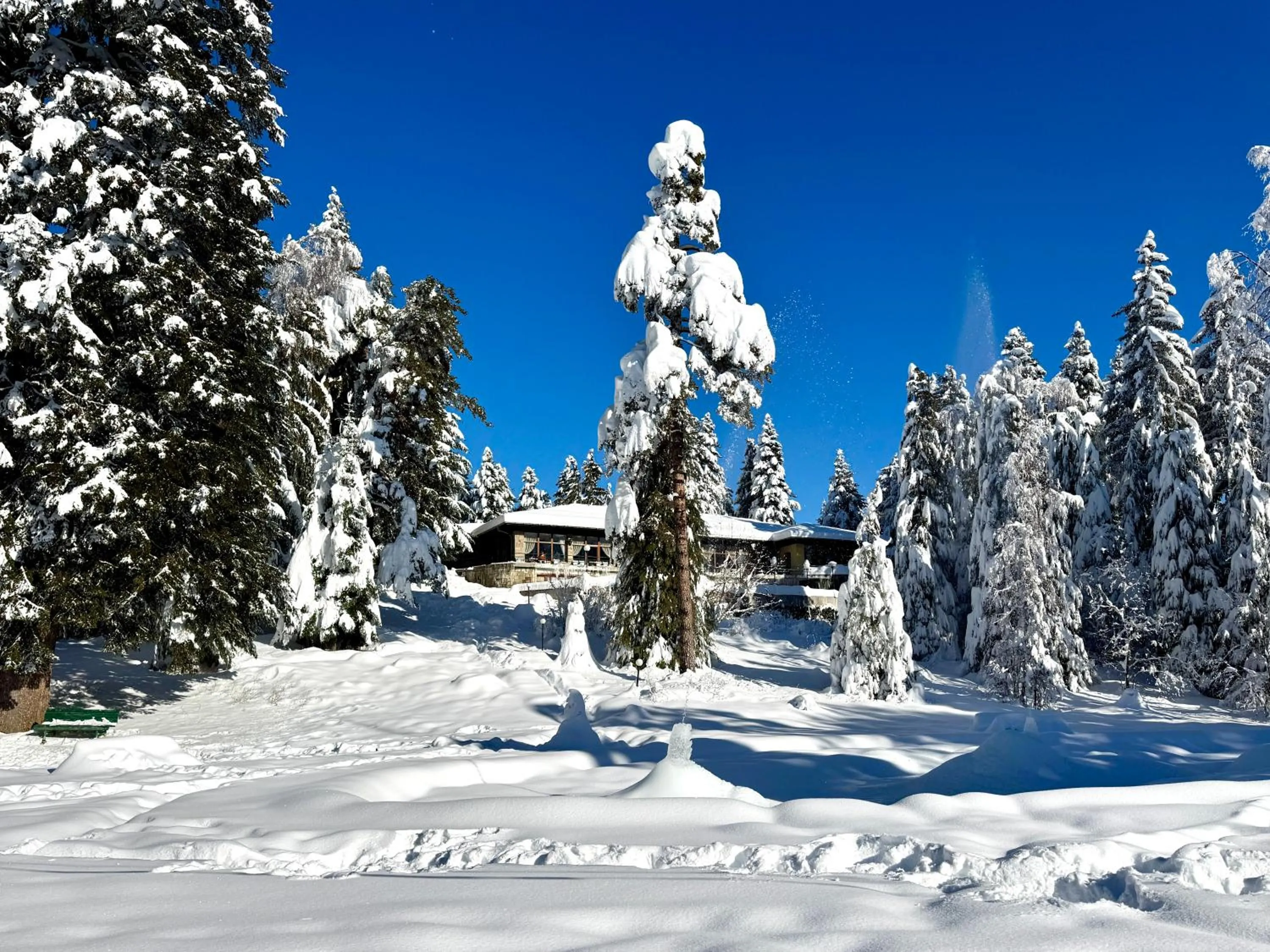 Property building in Hotel Bor