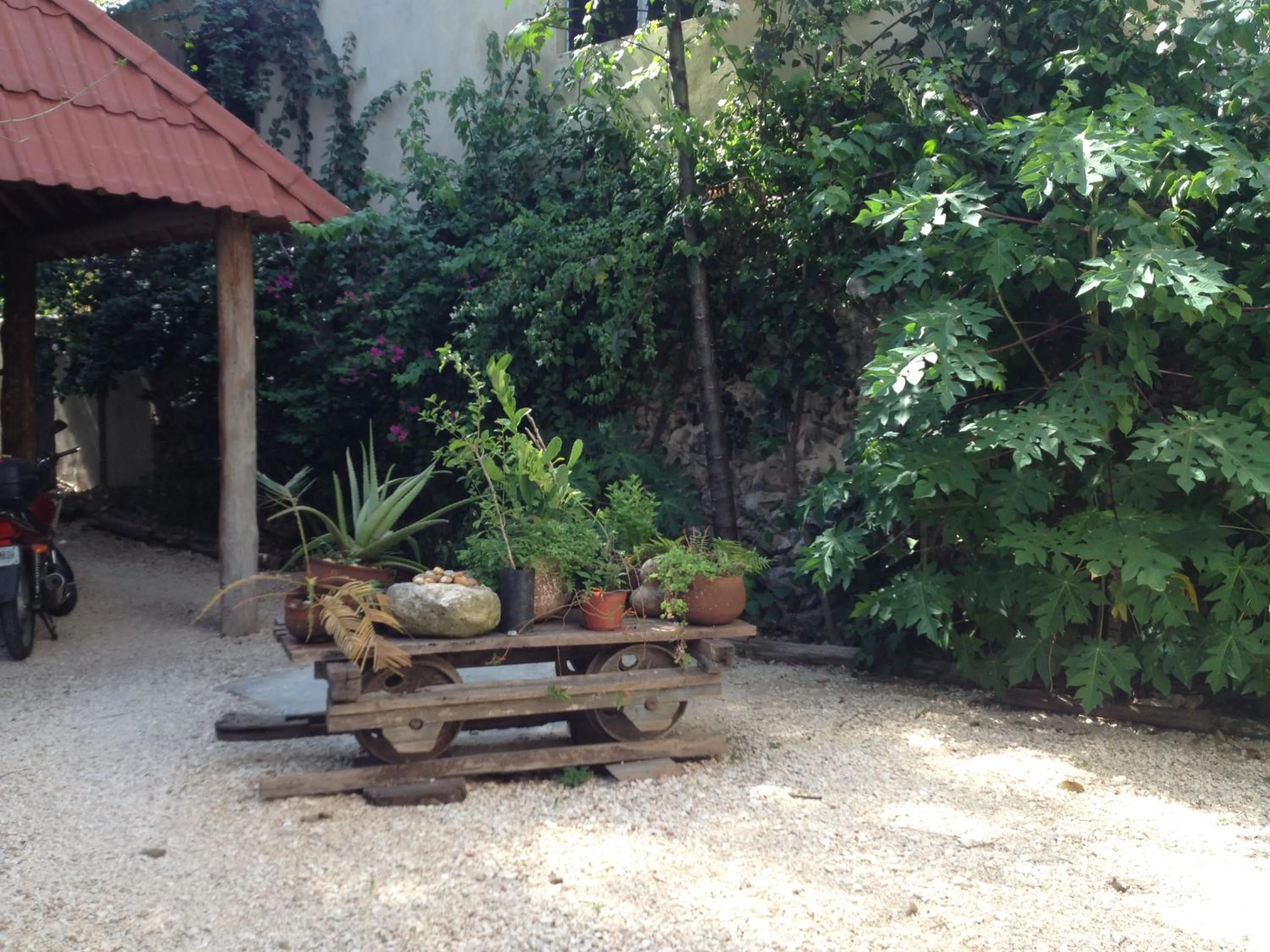 City Center Studyo "Casa Natural"