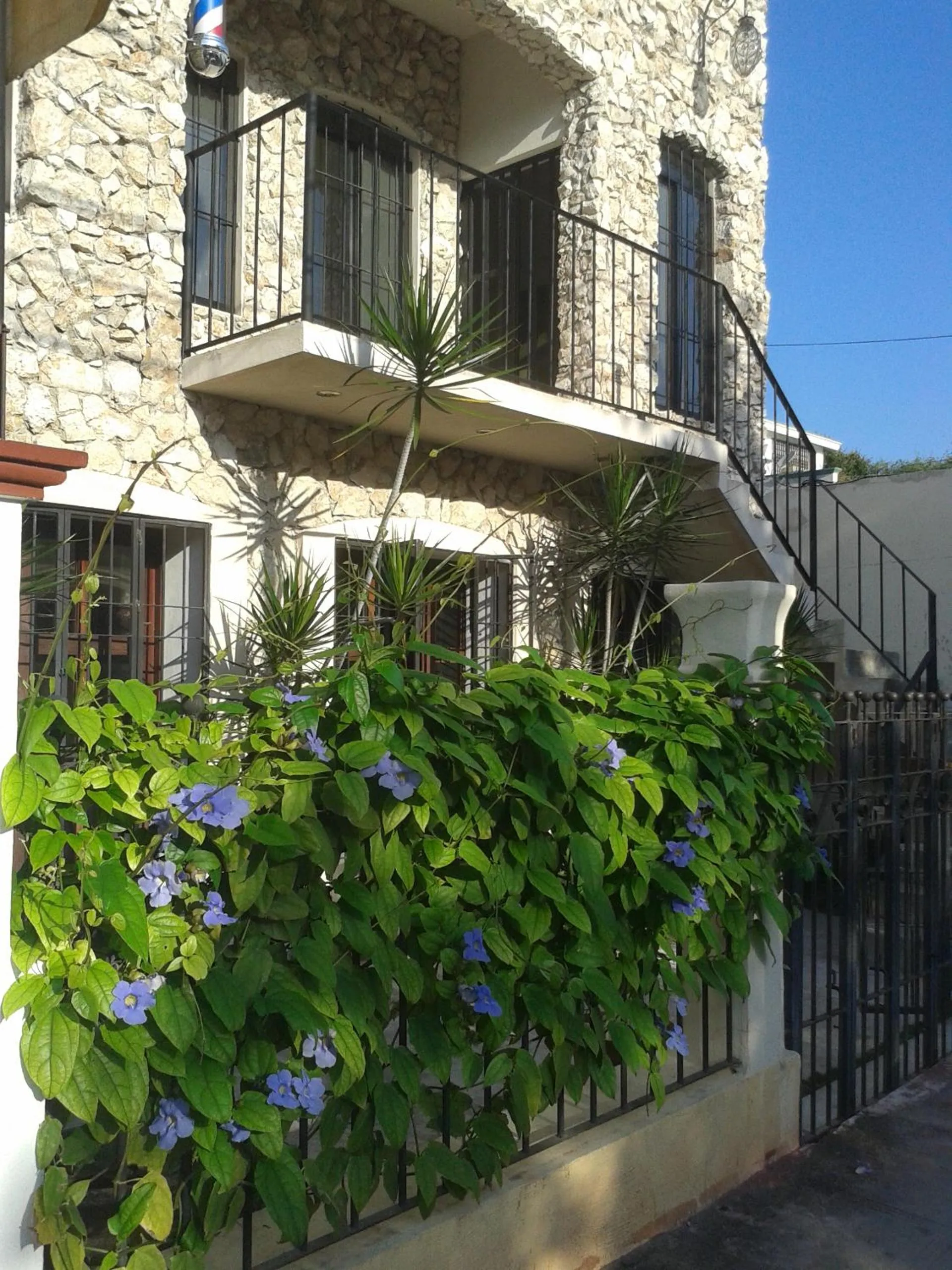 Property building in City Center Studyo "Casa Natural"