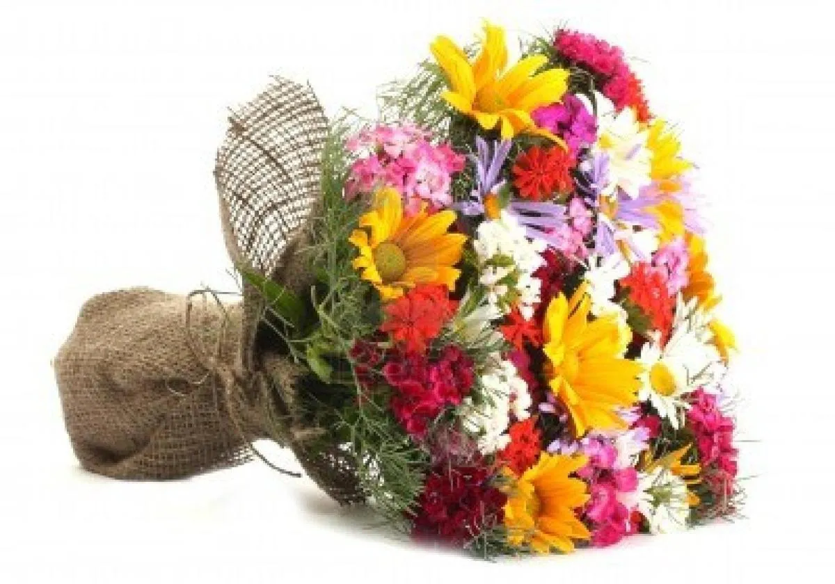 Town House Fontana Di Trevi