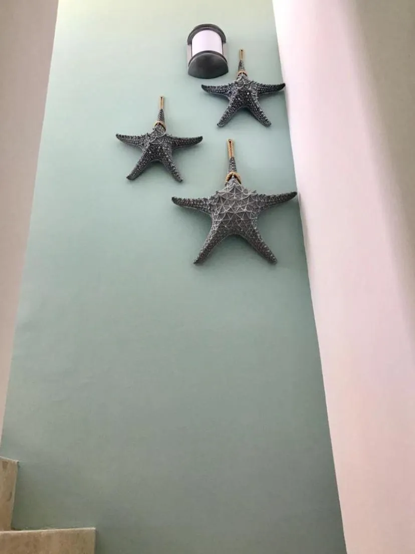 Decorative detail in Menesse 32 - Penthouse Con Alberca Privada Vista Al Mar By Hola