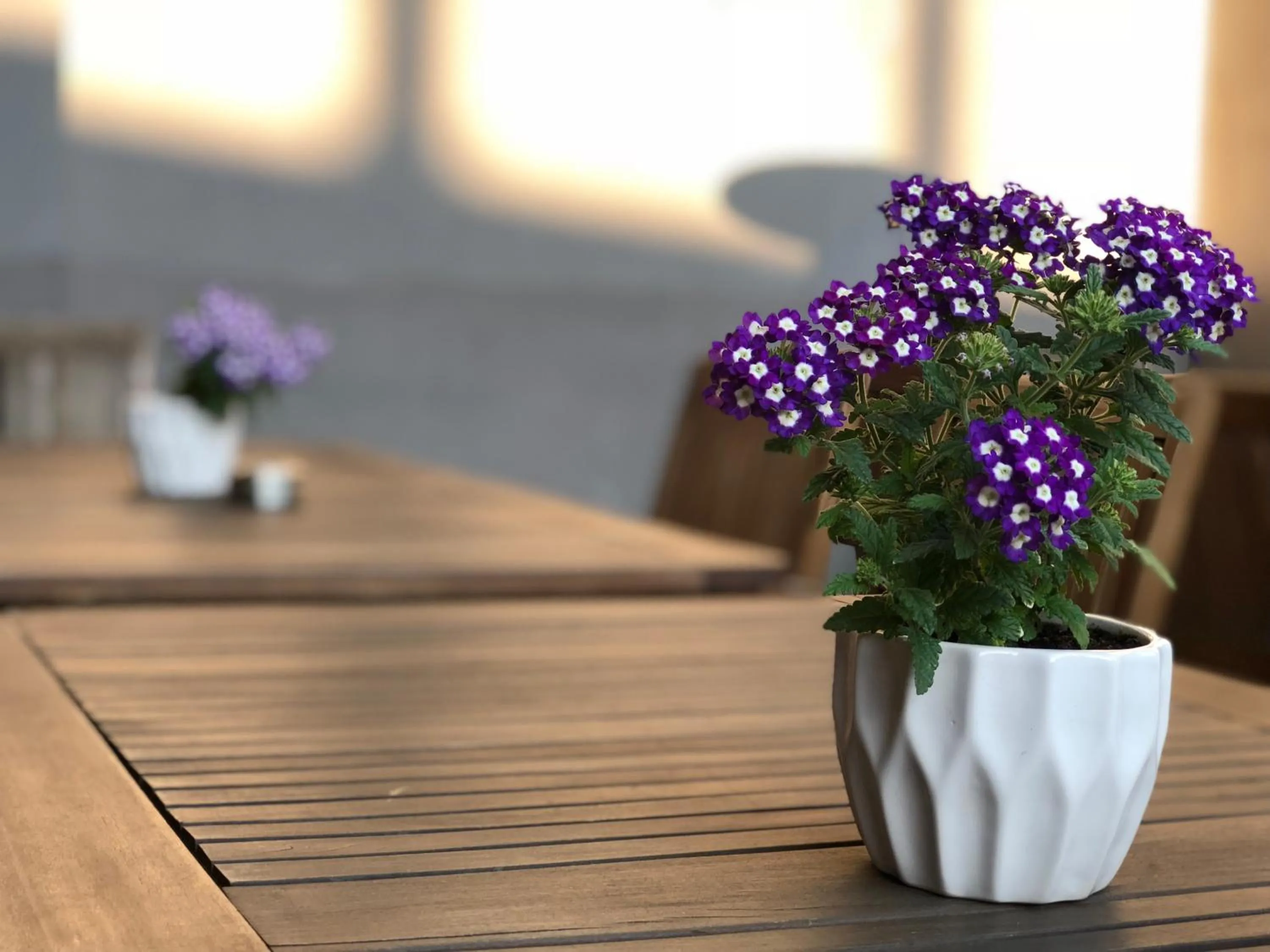 View (from property/room) in Hotel Kolumbs