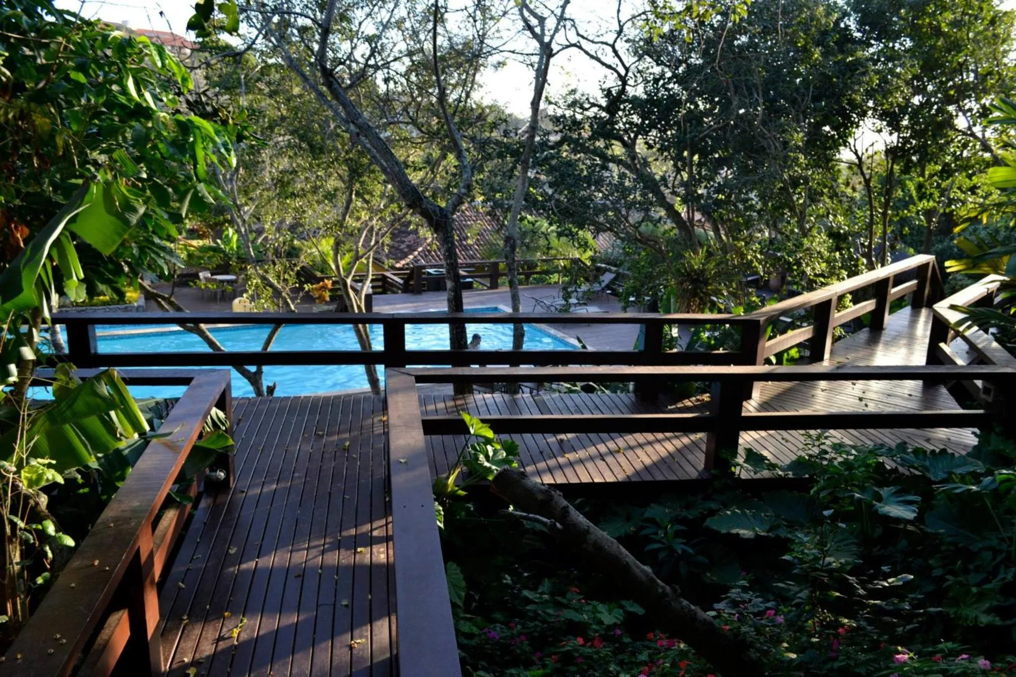 Pool view in Hotel La Forêt & Beach Lounge