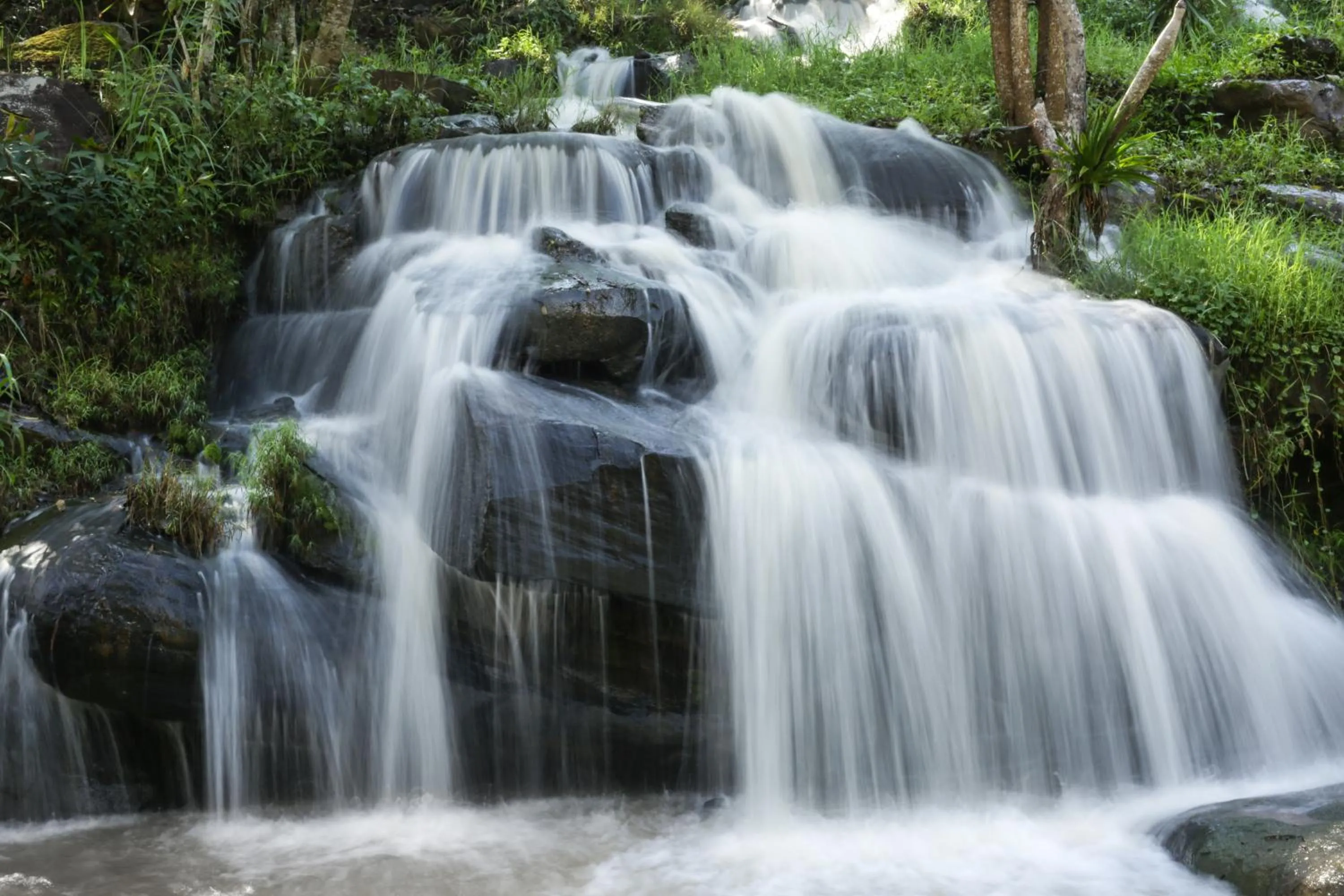 Natural landscape in Phurua Resort