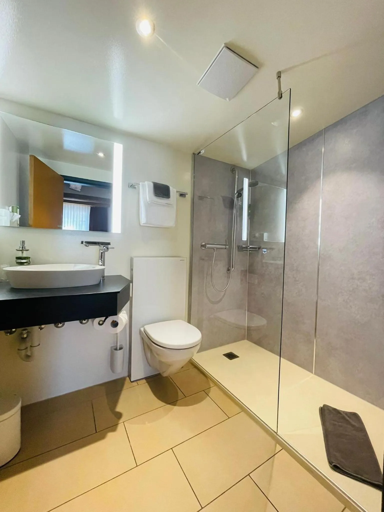 Bathroom in Hotel Balsthal