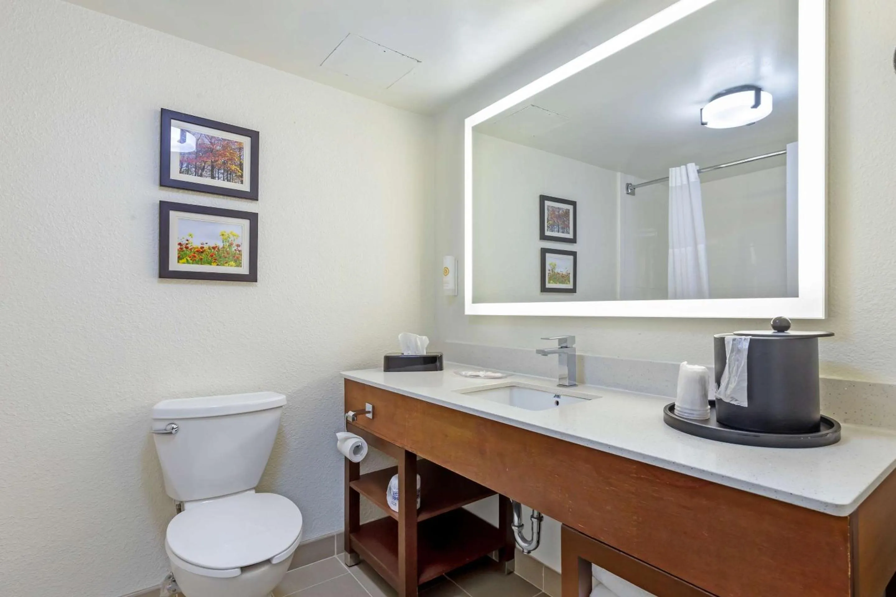 Bathroom in Comfort Suites Hanes Mall