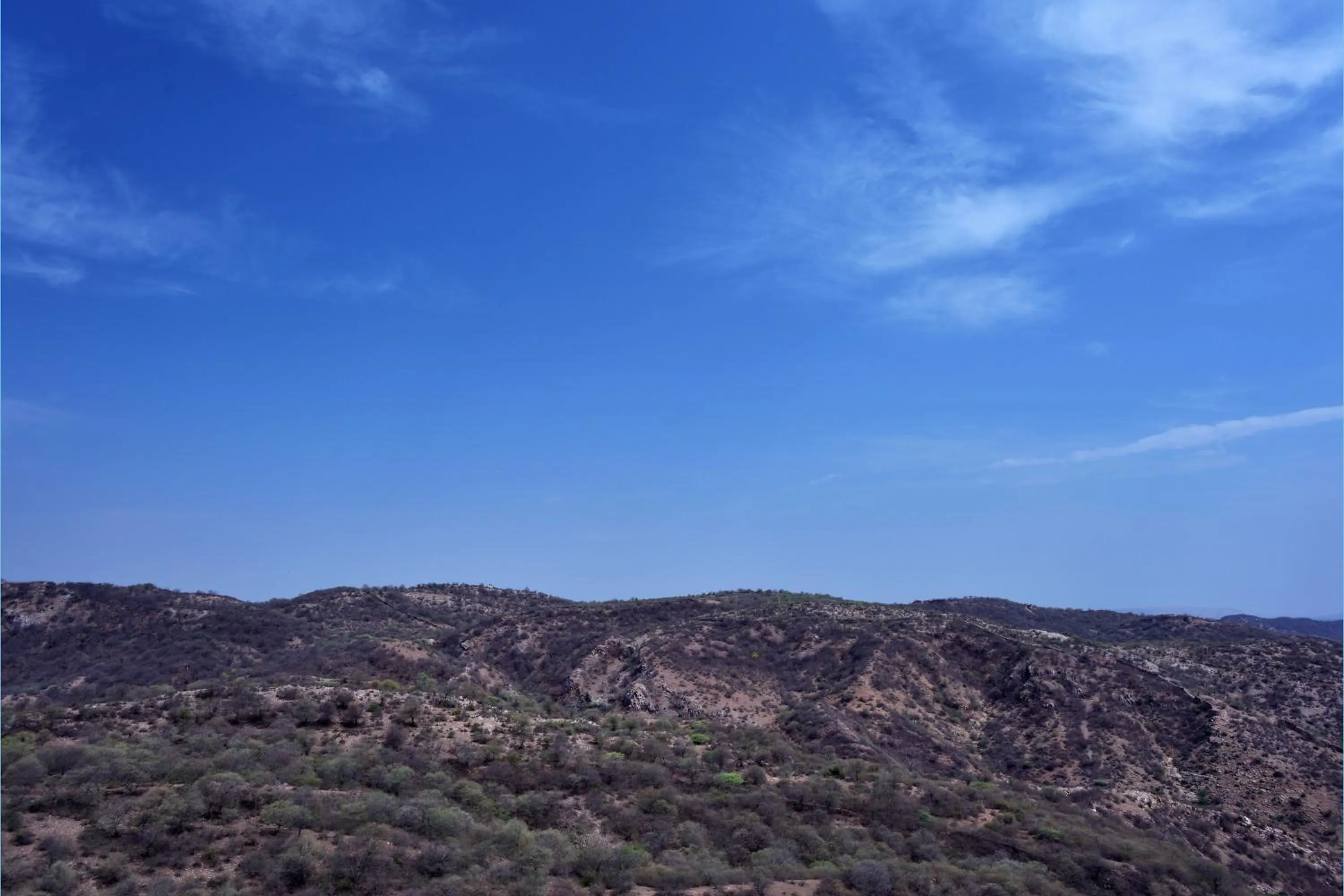 Other in Four Points by Sheraton Jaipur, City Square