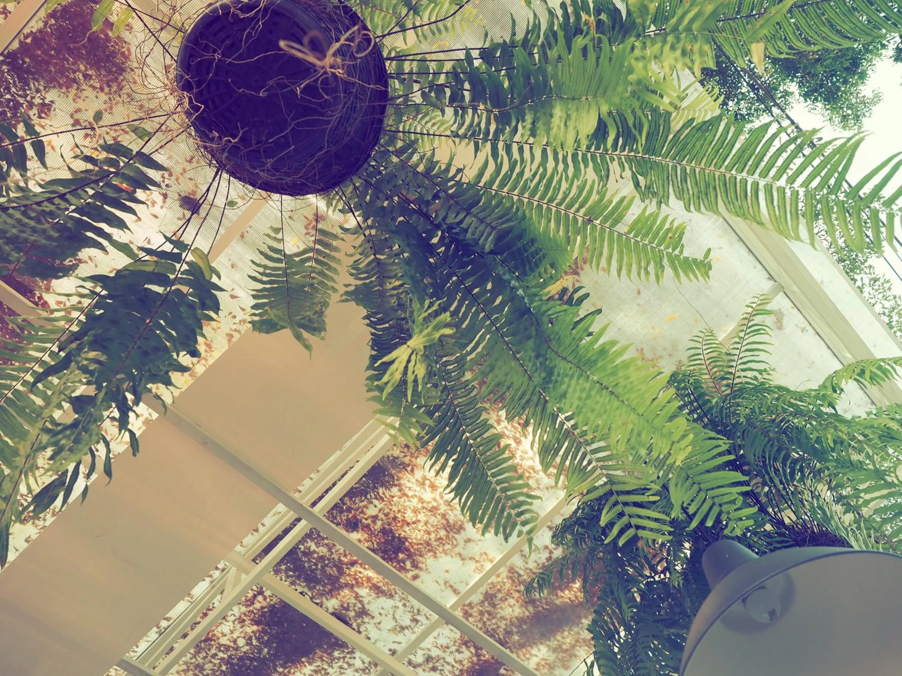 Garden in Costa Village Pool Villa