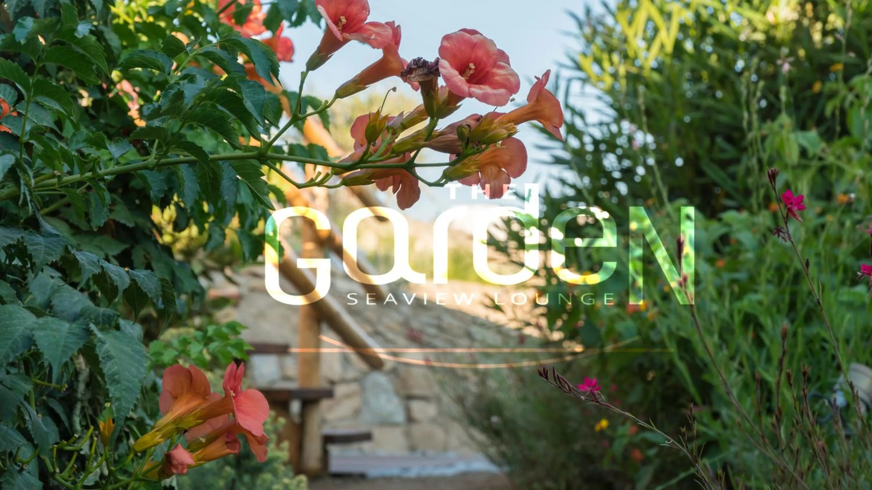 Spring in Legacy Suites