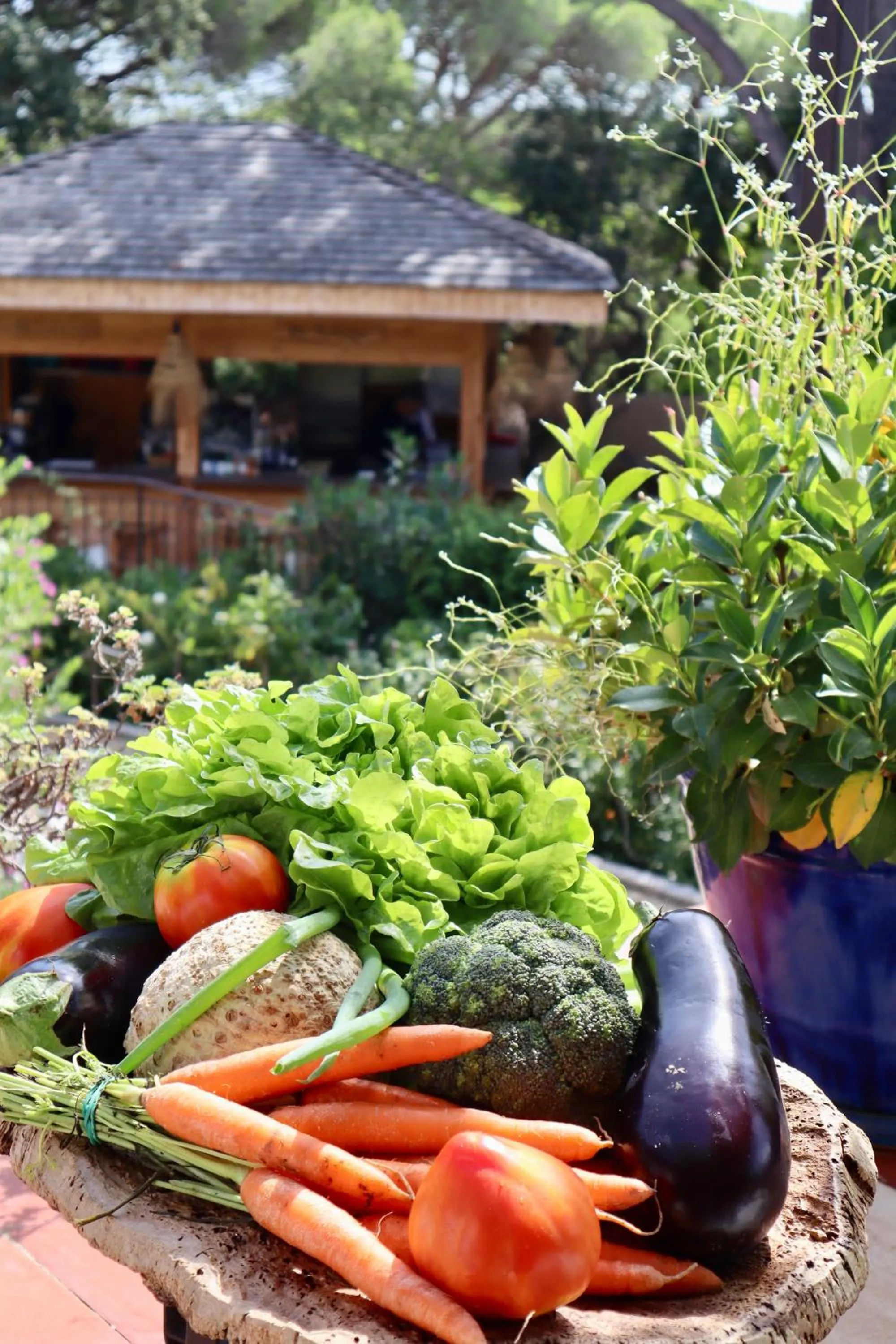 Restaurant/places to eat in La Ferme D'Augustin