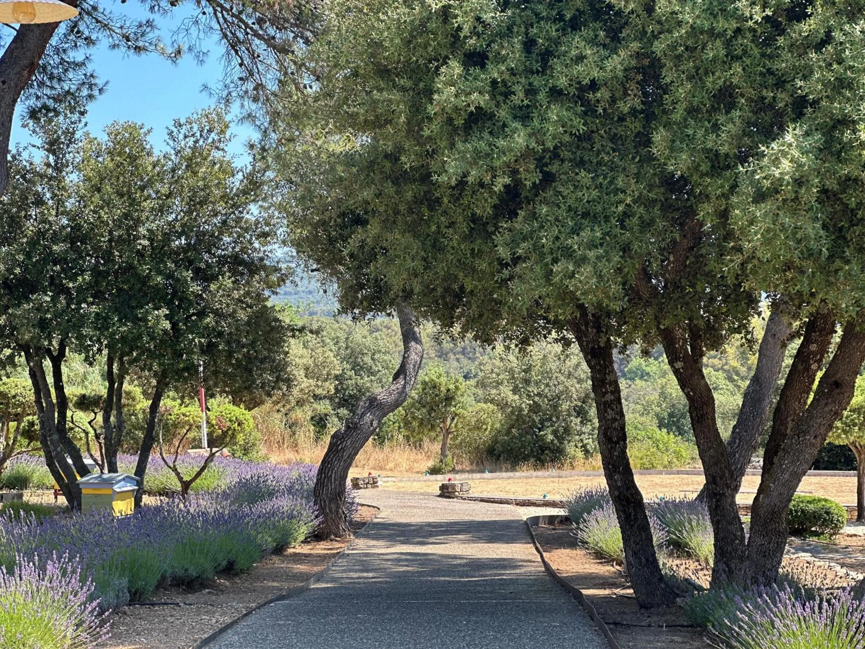 Garden in Le Phébus & Spa – Relais & Châteaux