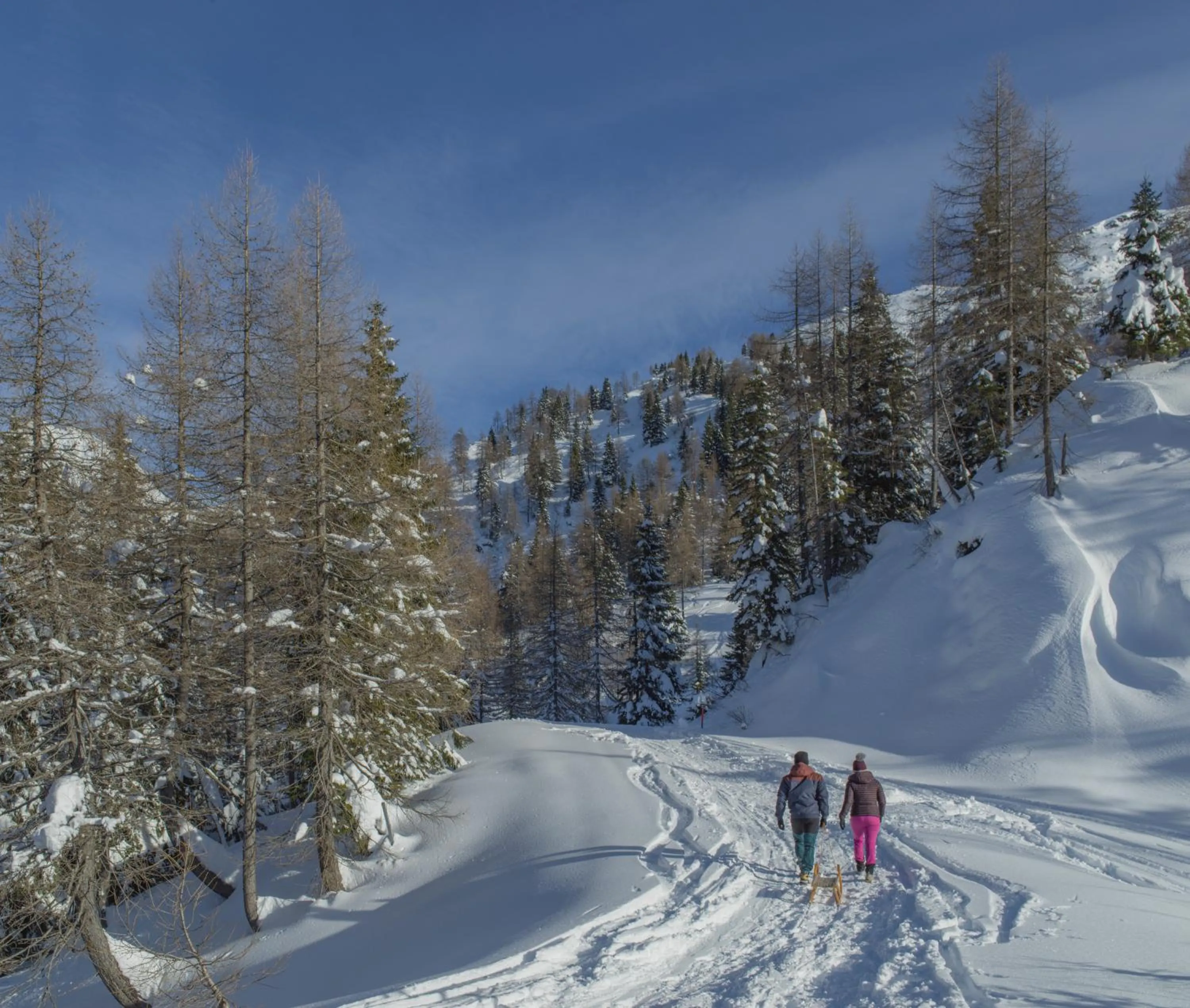 Natural landscape in Falkensteiner Family Hotel Sonnenalpe