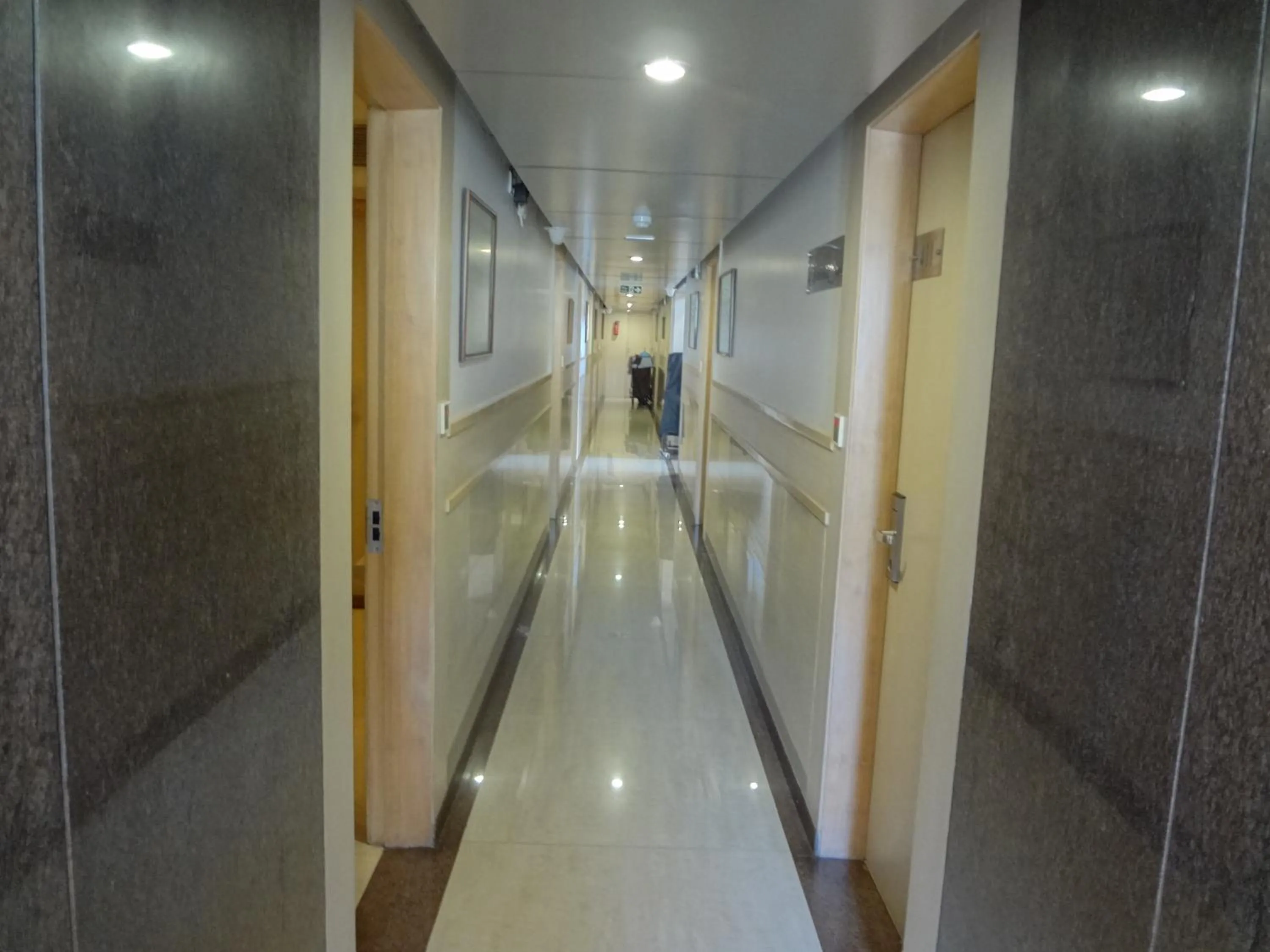 Decorative detail in The Oriental Residency