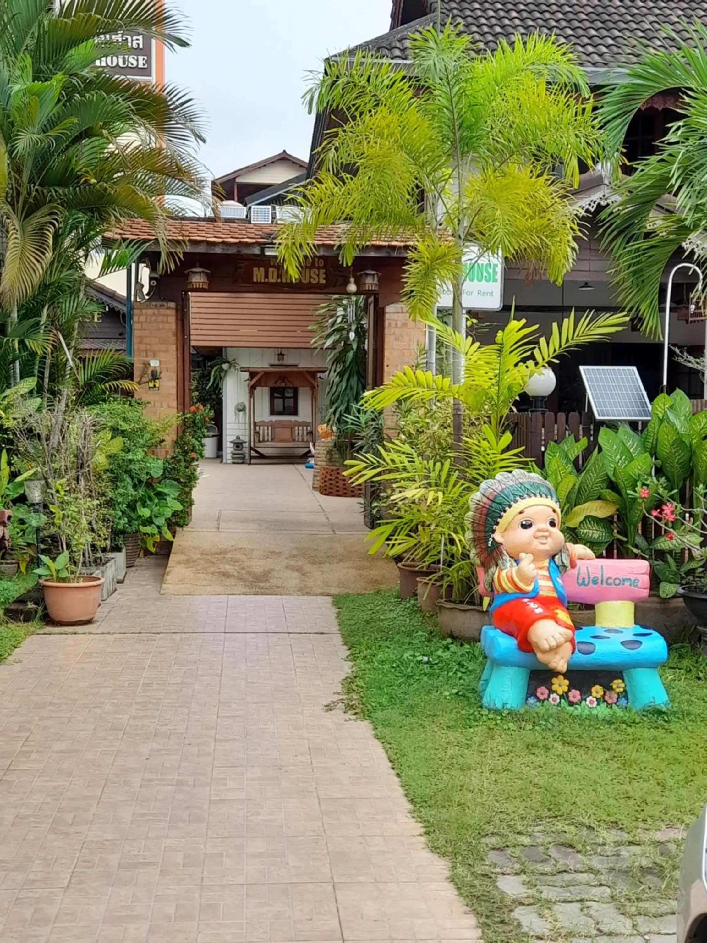 Garden view in MD House