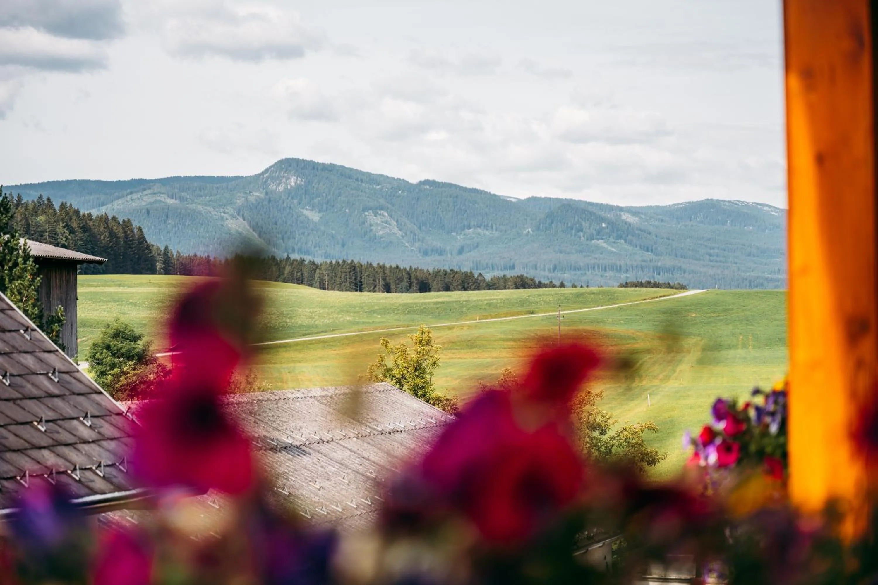 View (from property/room) in Wander- und Wellnesshotel Kanzler