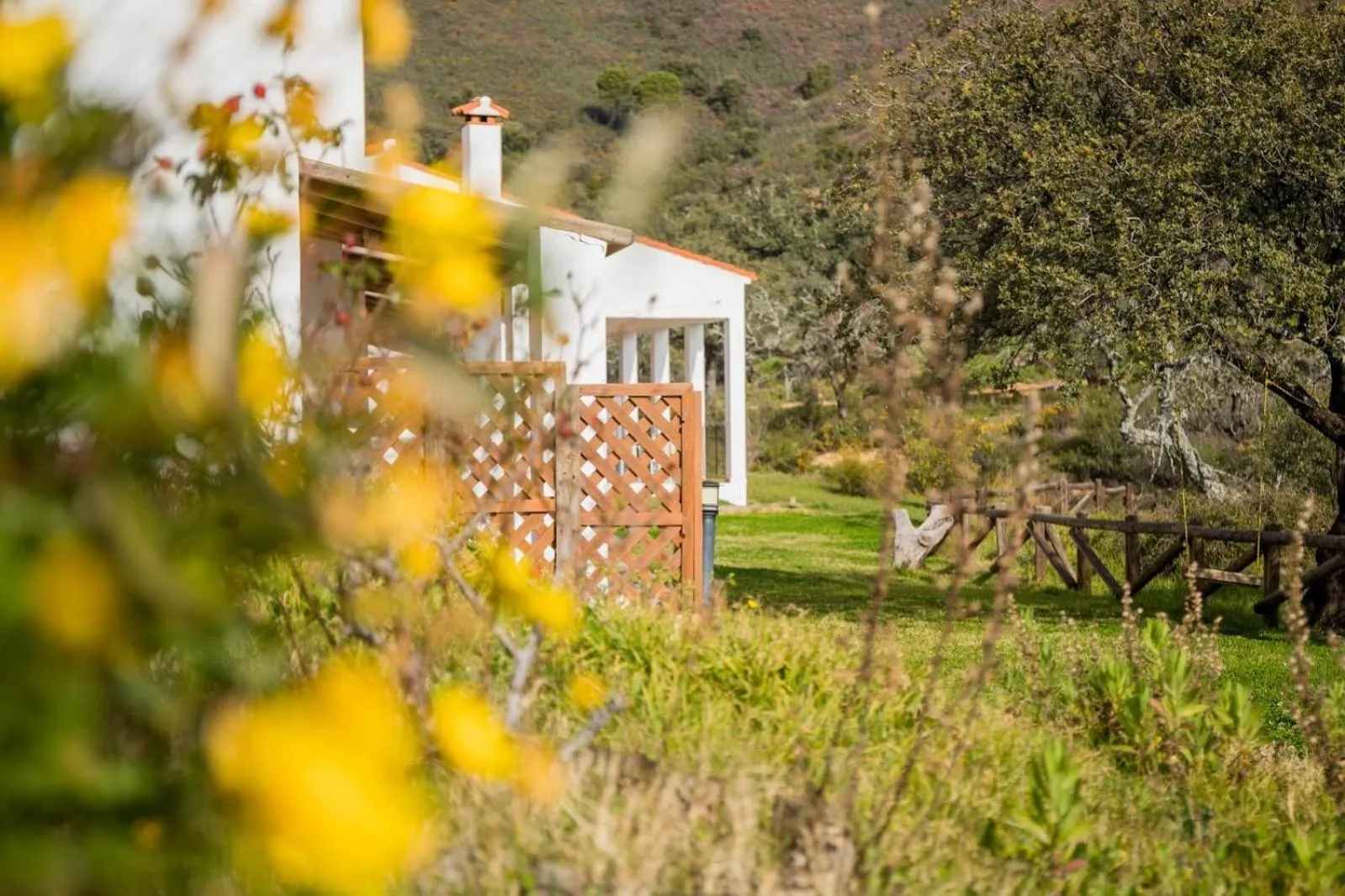 Spring in Complejo Los Veneros