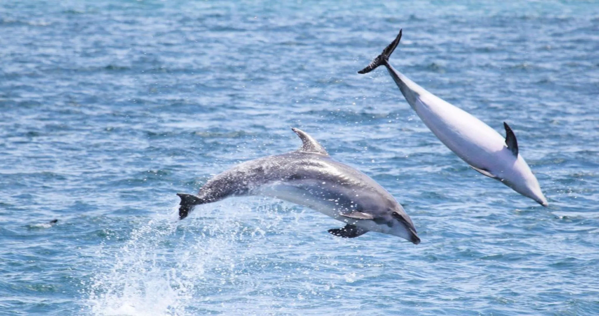 Activities in On the Beach Guesthouse Jeffreys Bay