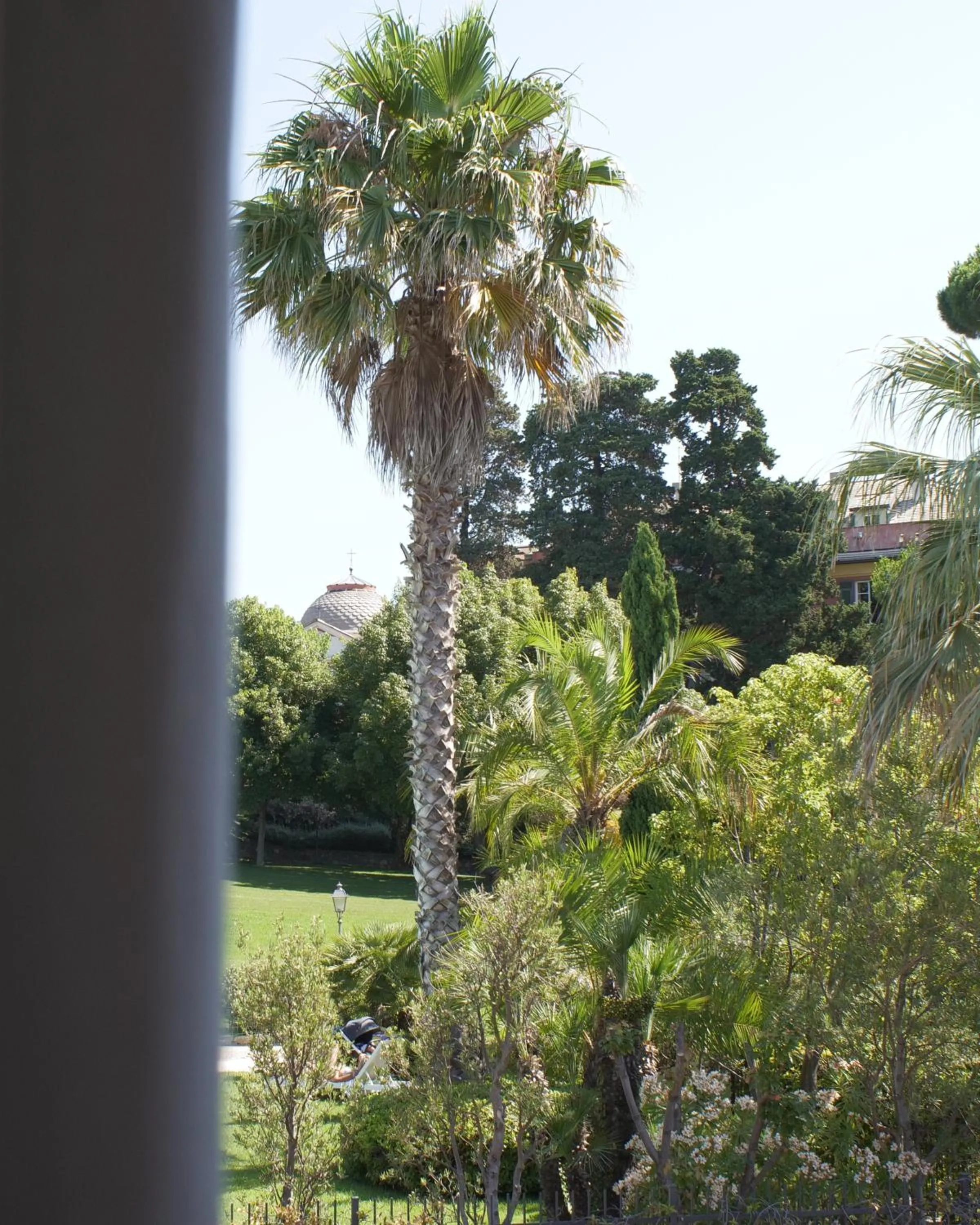 Garden view in Rex Hotel Residence