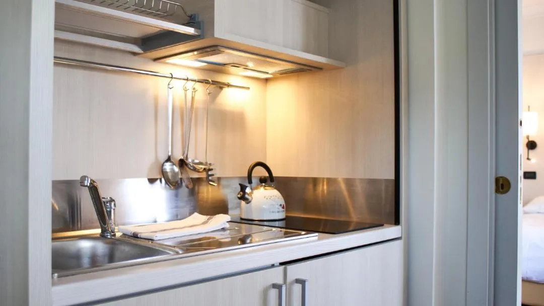 Kitchen or kitchenette in Rex Hotel Residence