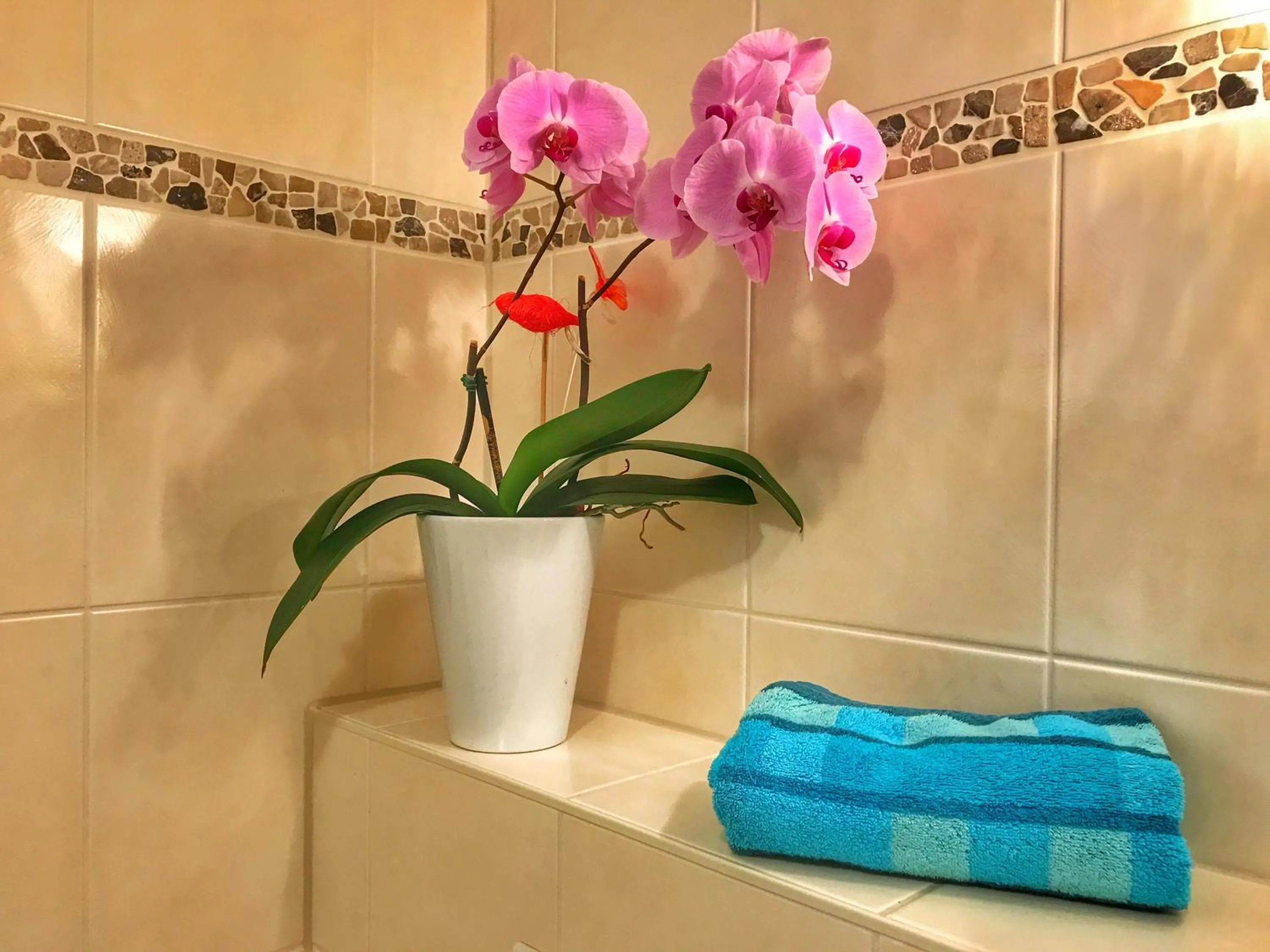 Bathroom in Apartment Happy Mosel