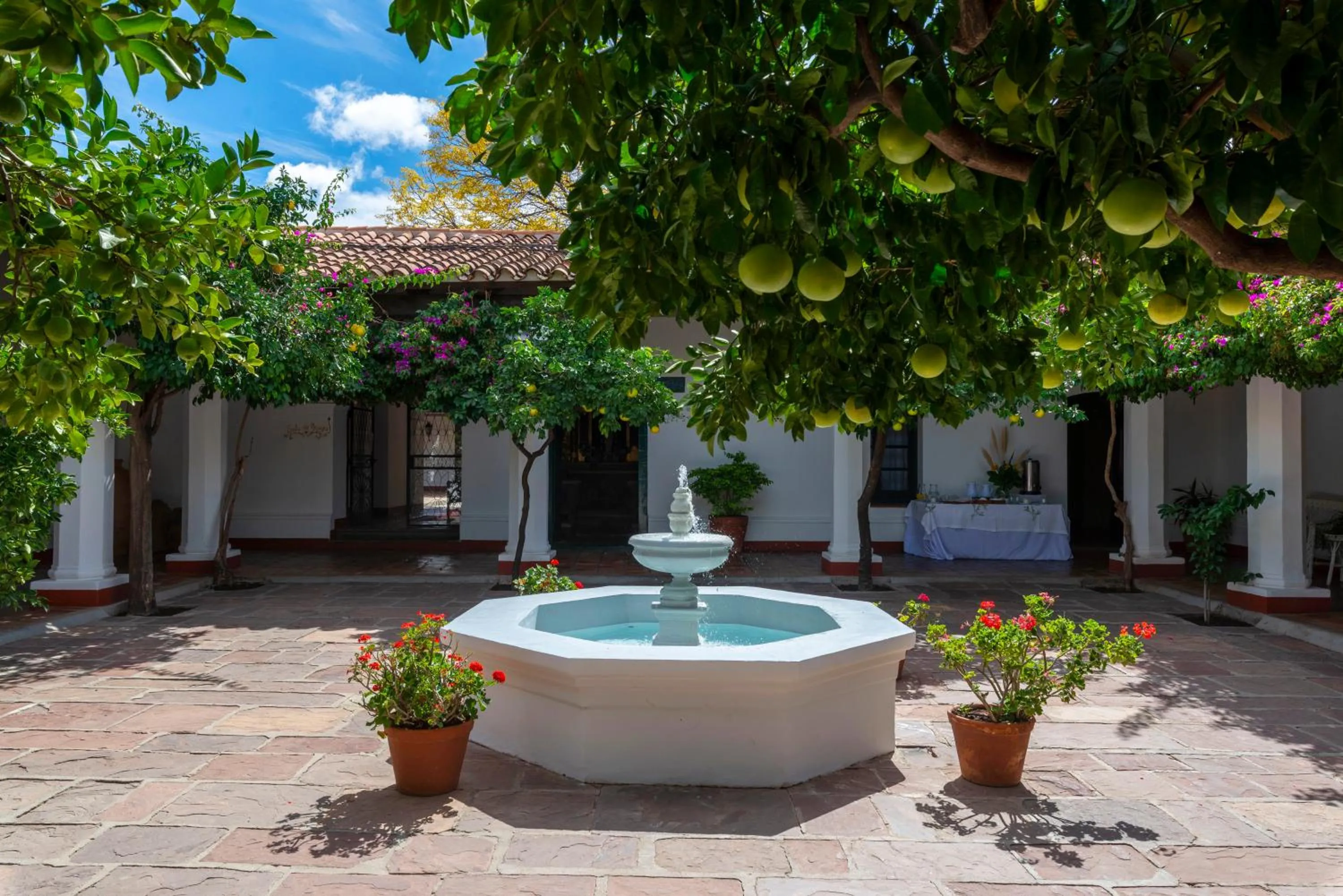 Patio in Patios de Cafayate - Wine Hotel & Restaurant