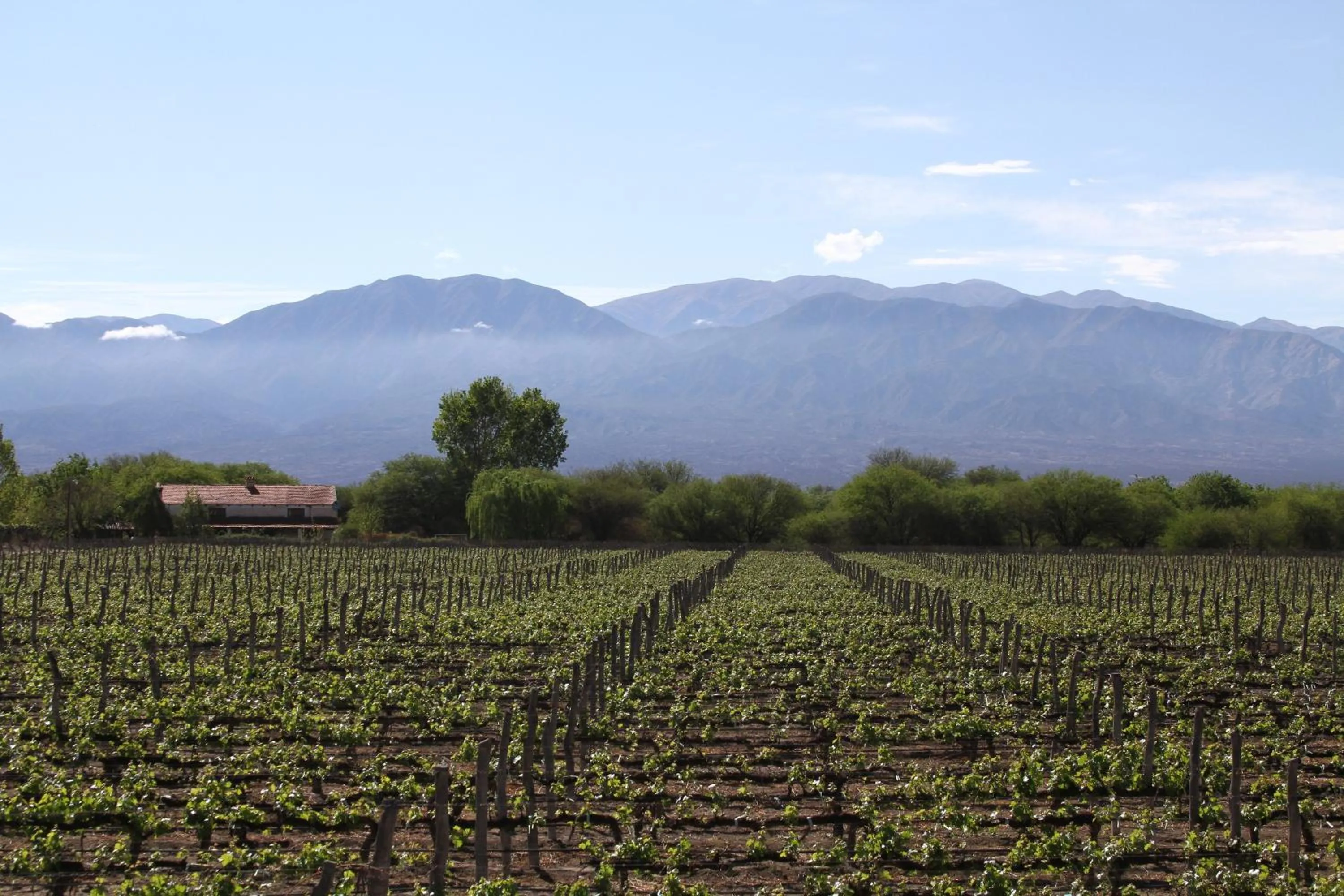 Day in Patios de Cafayate - Wine Hotel & Restaurant