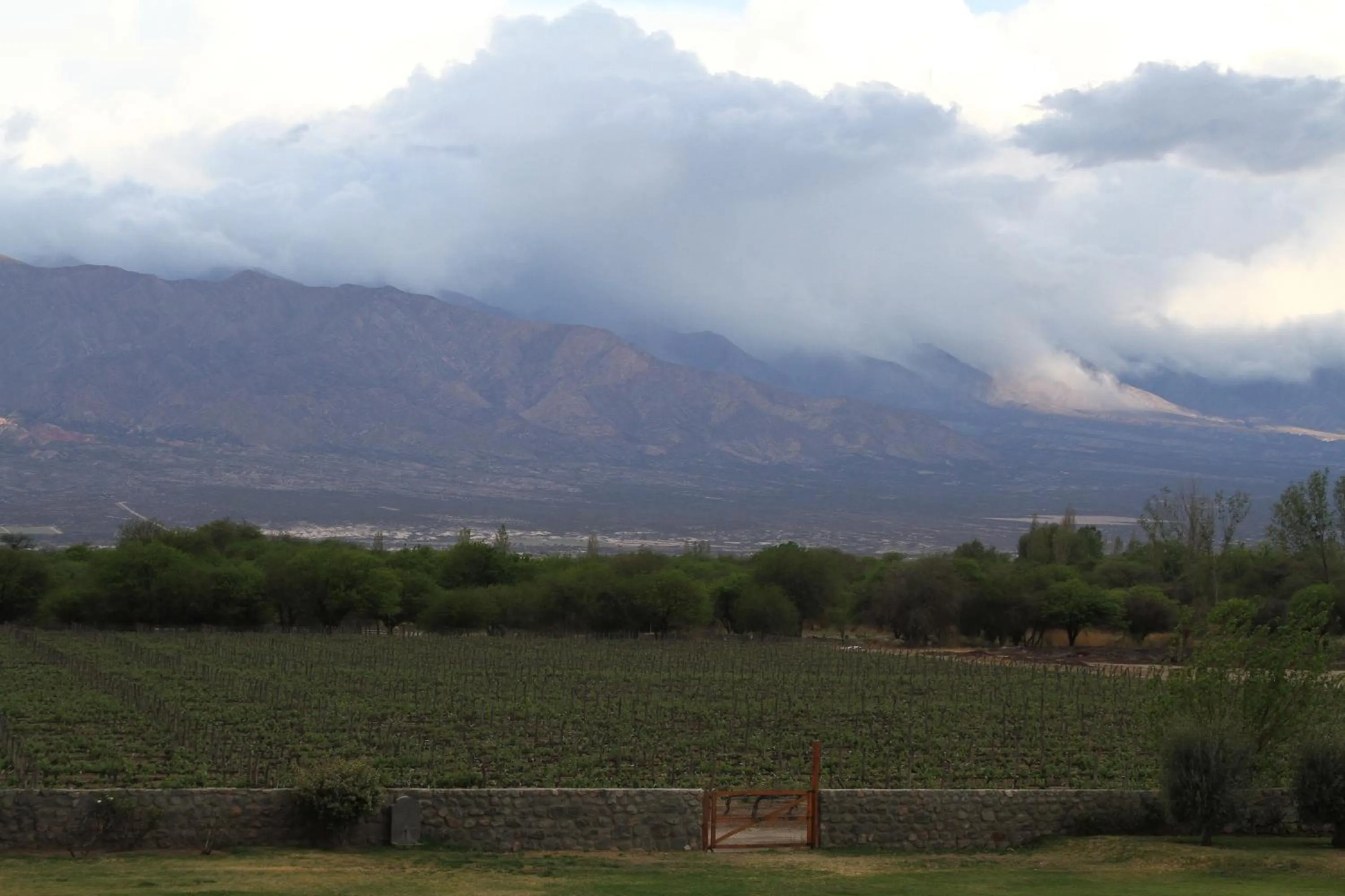 Natural landscape in Patios de Cafayate - Wine Hotel & Restaurant