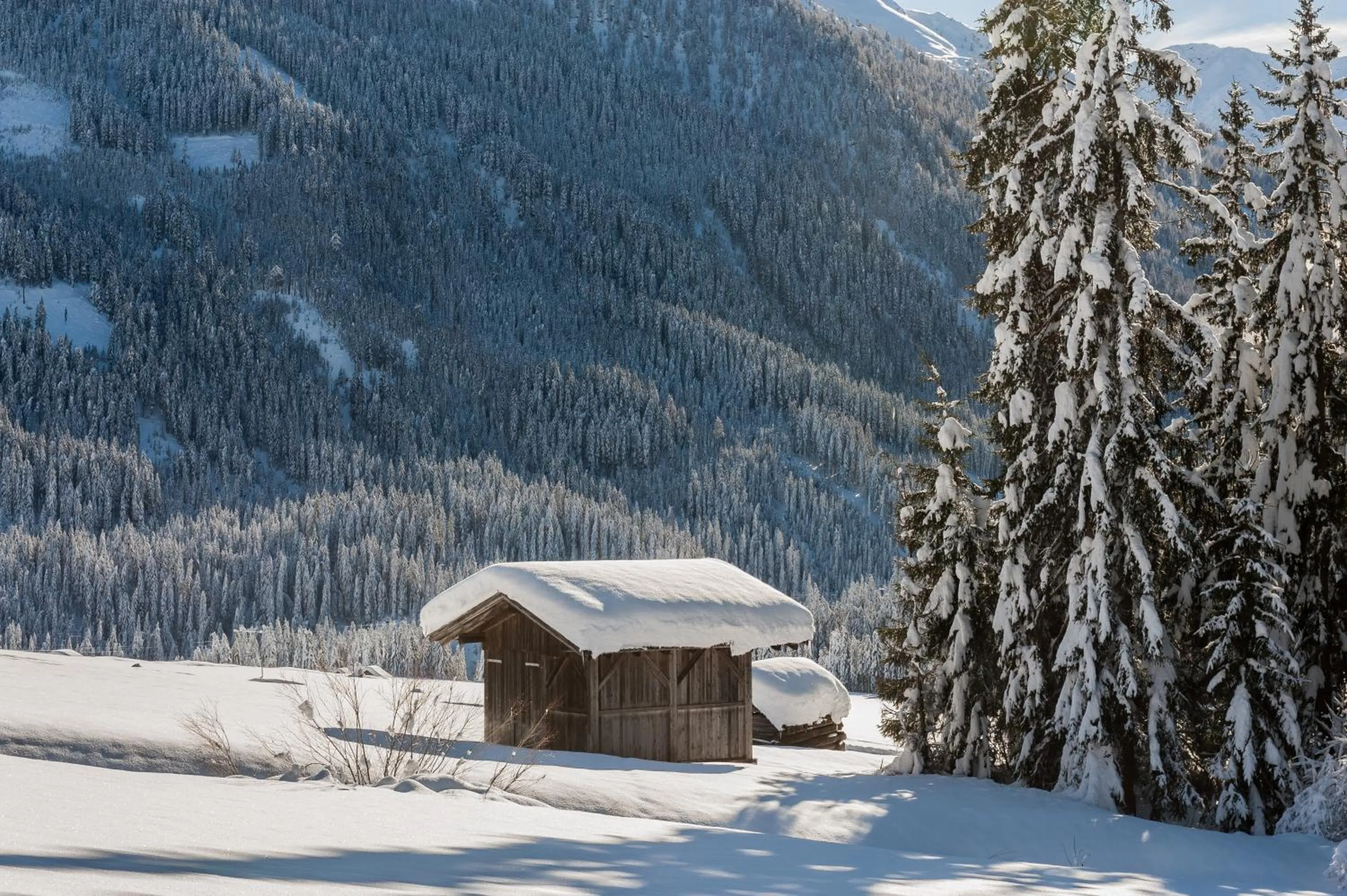 Winter in Apartments Gannerhof - 3 stars