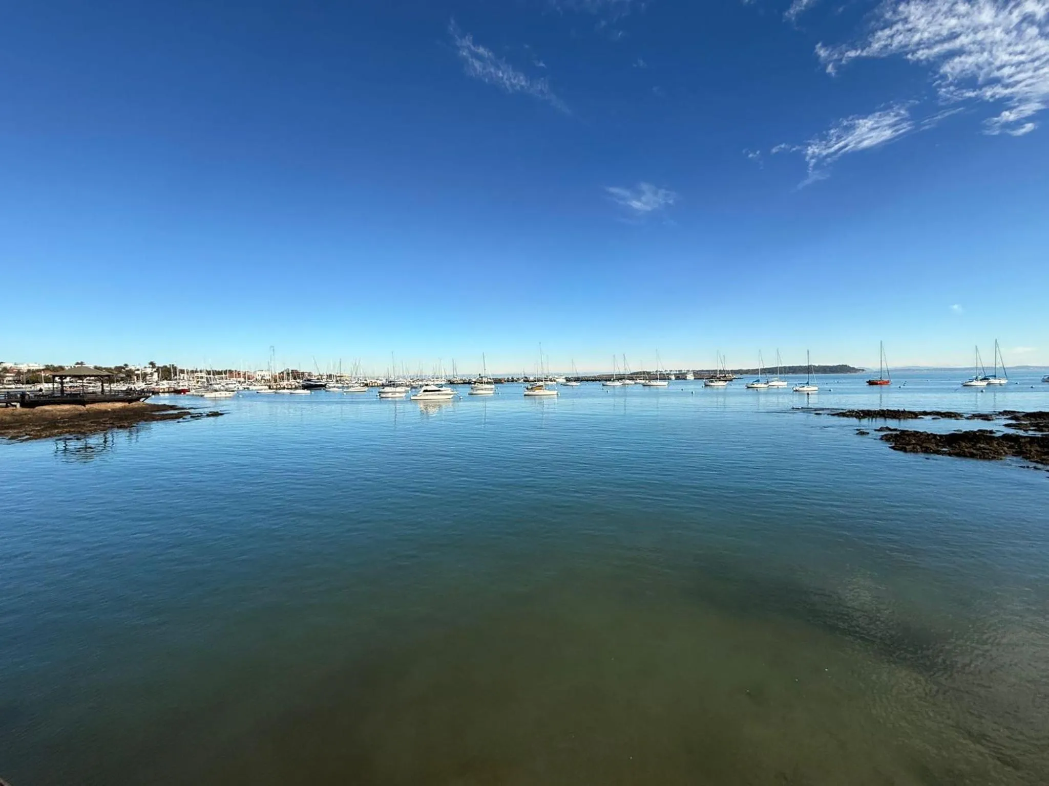 Natural landscape in Punta del Este Shelton Hotel