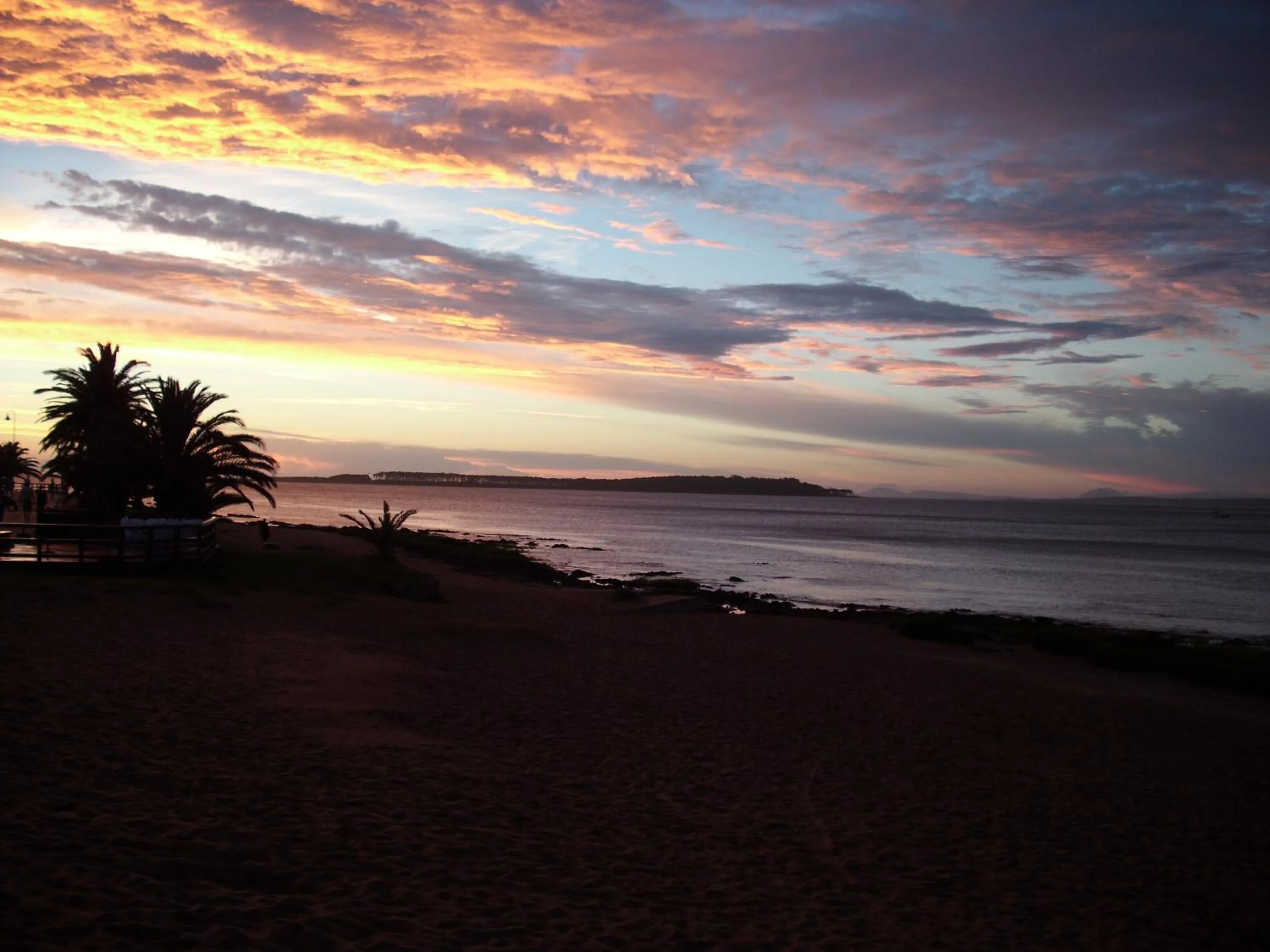 View (from property/room) in Punta del Este Shelton Hotel
