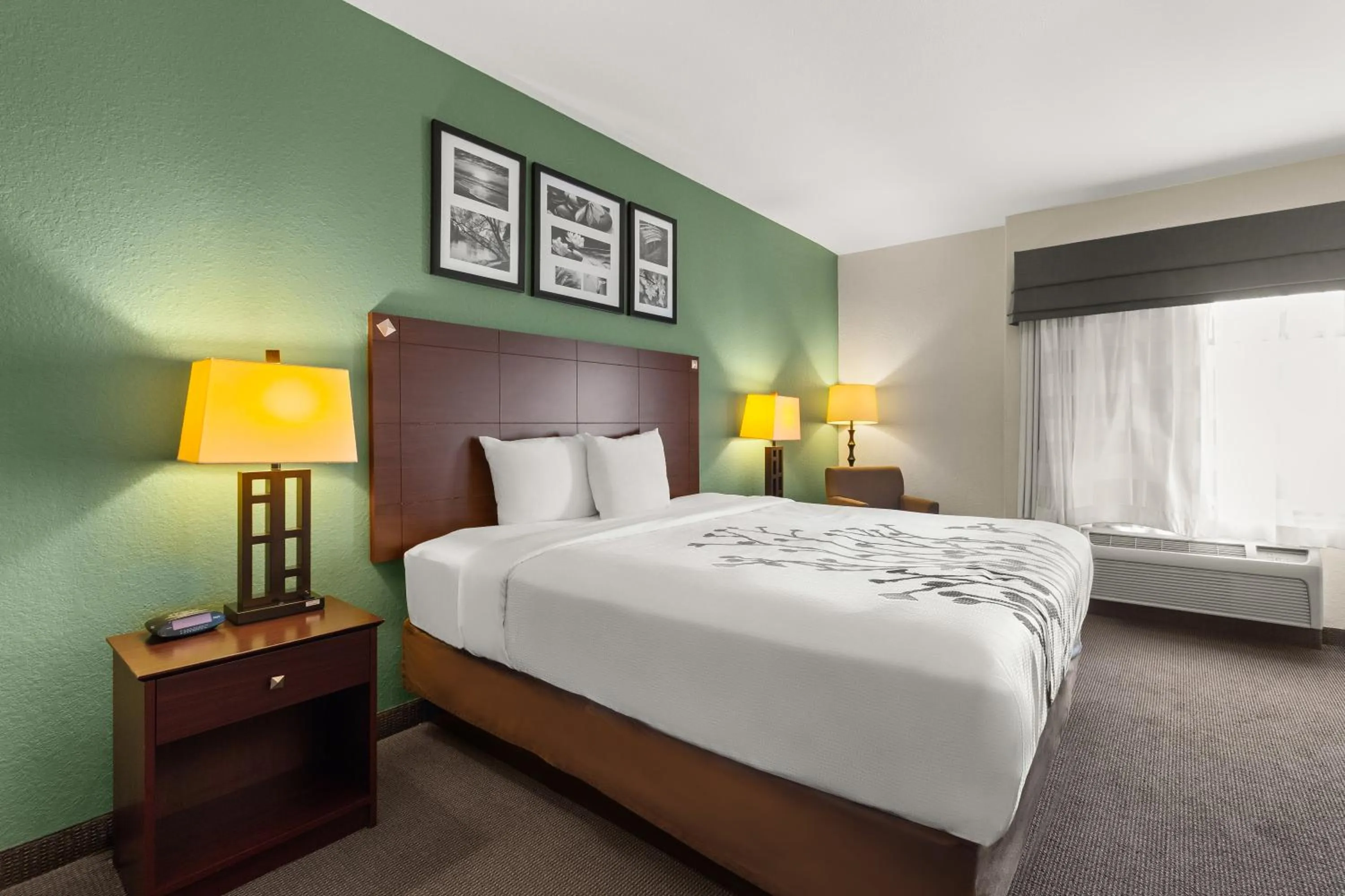 Bed in Sleep Inn & Suites Bush Intercontinental - IAH East