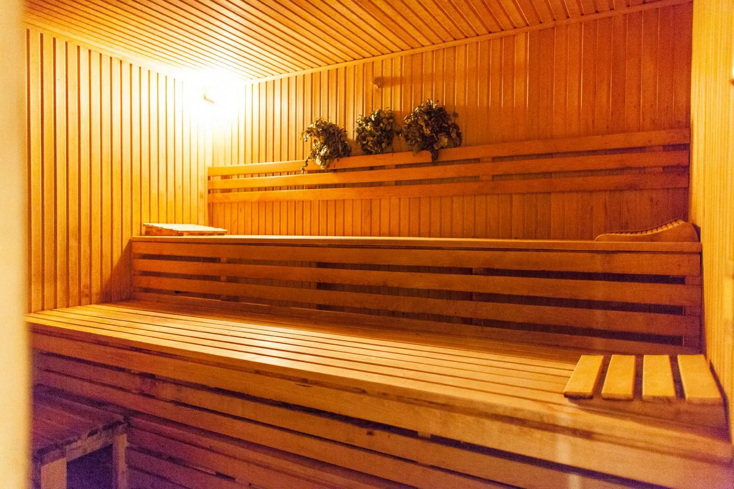 Sauna in TB Palace Hotel & SPA