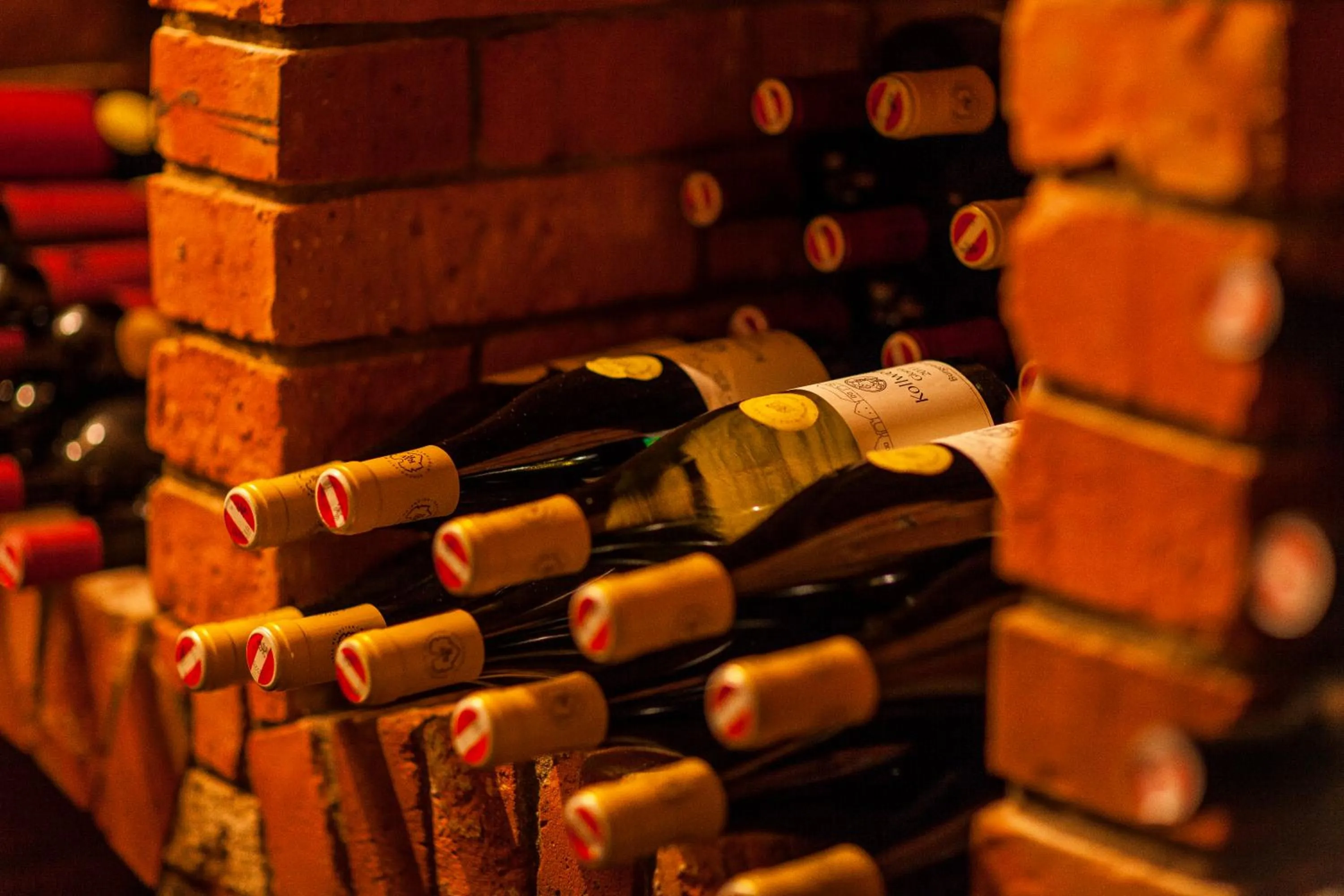 Alcoholic drinks in TB Palace Hotel & SPA