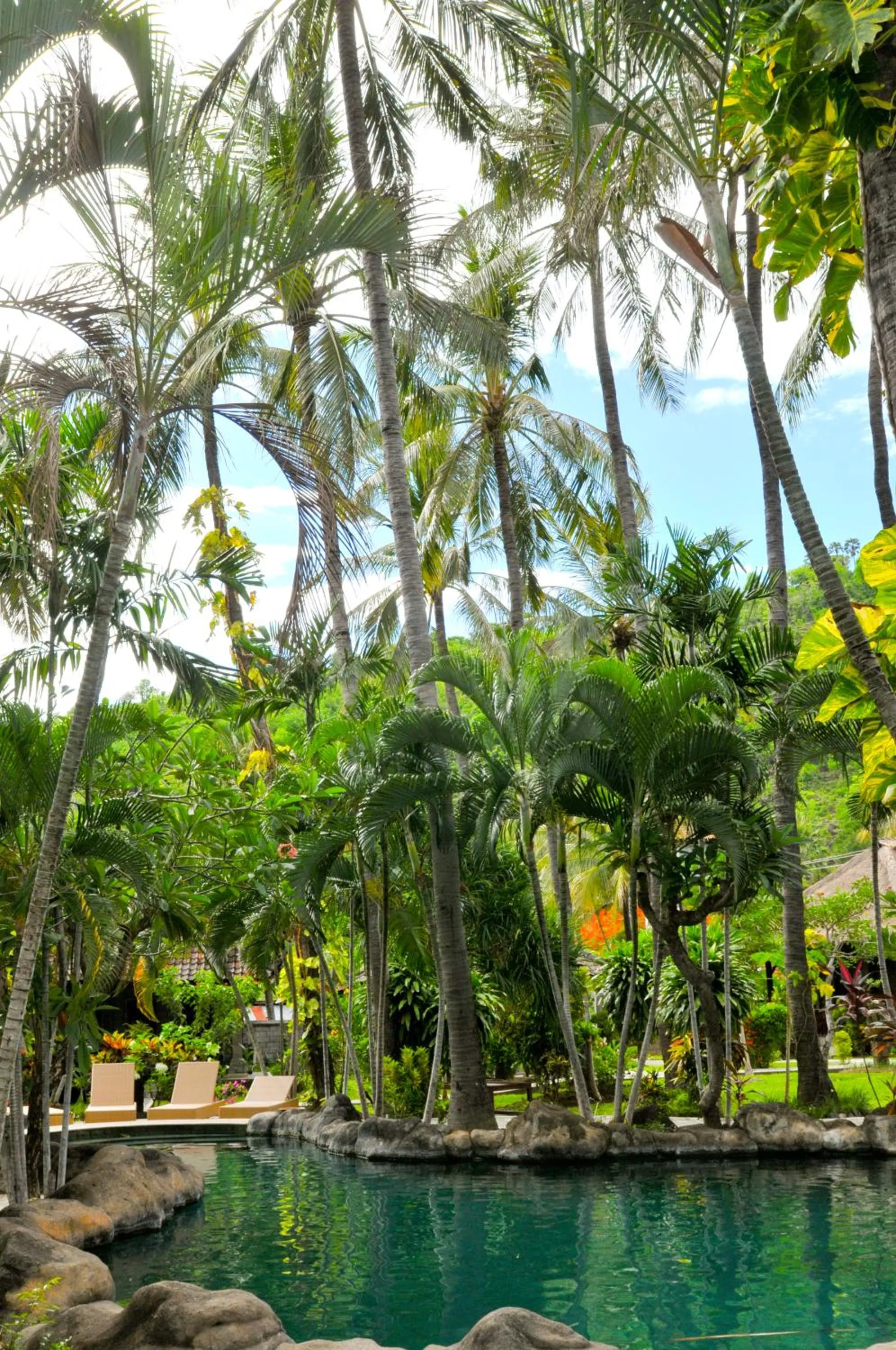 Pool view in Coral View Villas