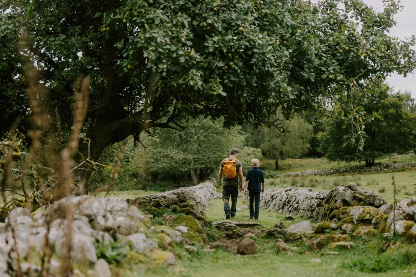 Natural landscape in STF Villa Söderåsen B&B