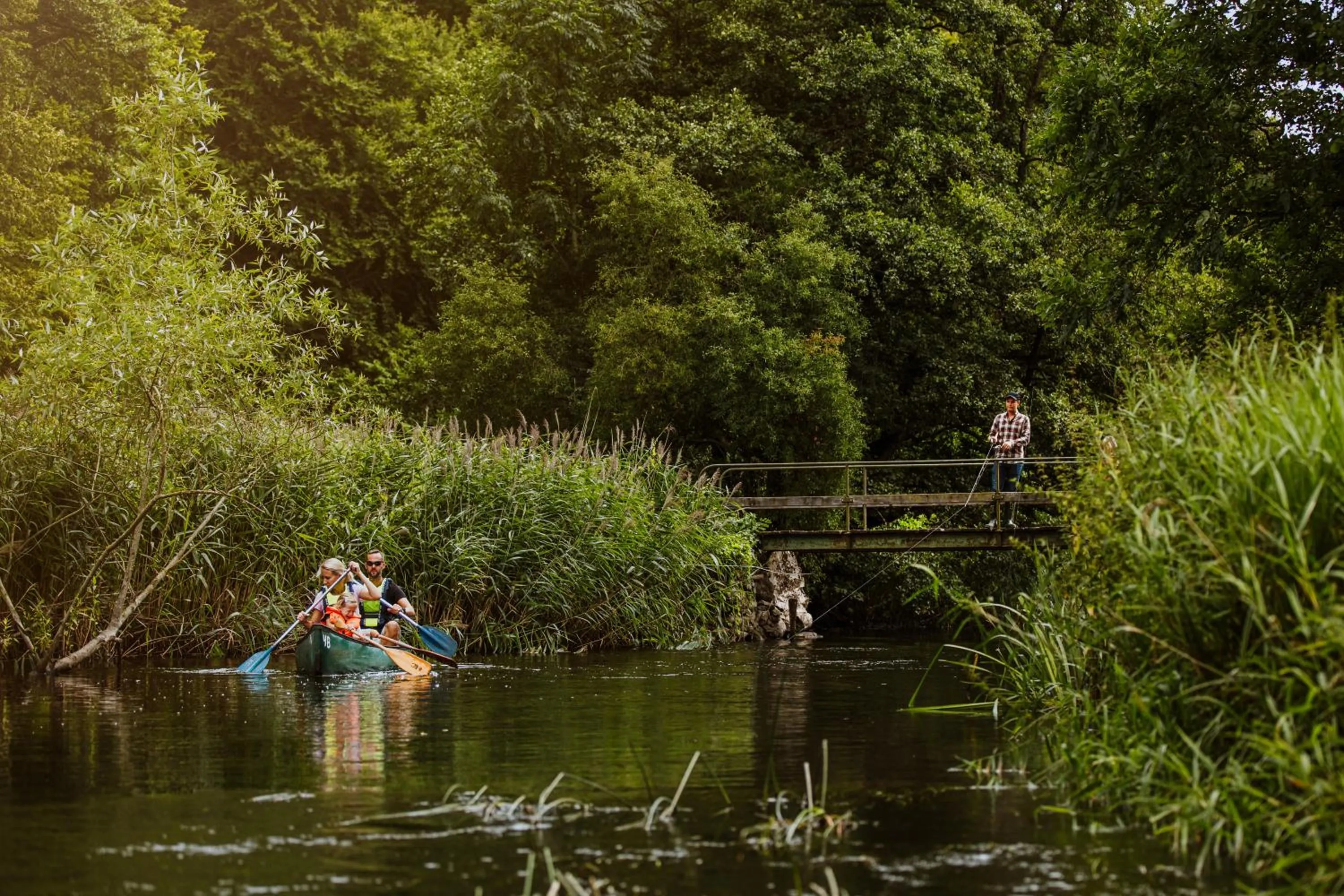 Natural landscape in STF Villa Söderåsen B&B