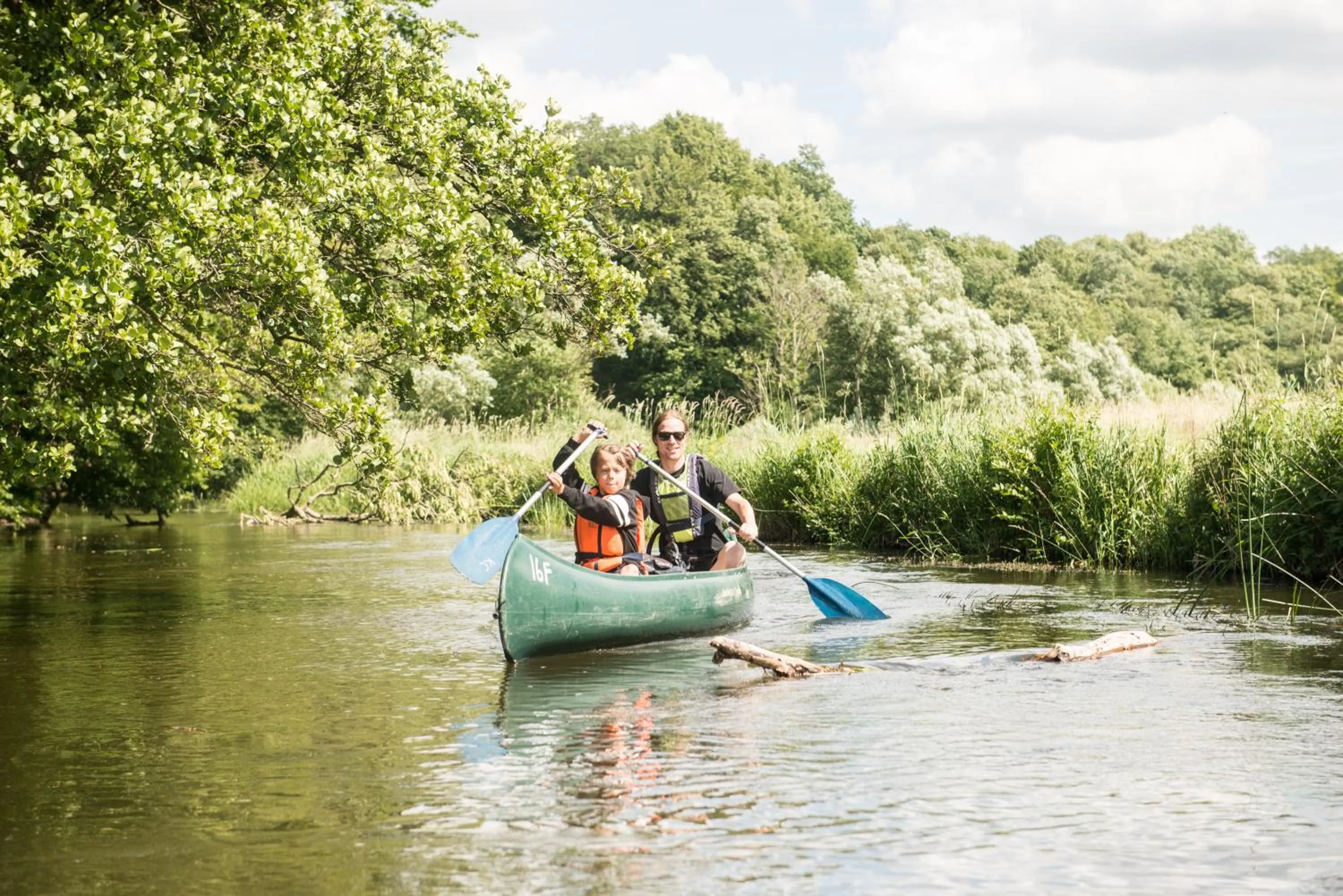 Activities in STF Villa Söderåsen B&B