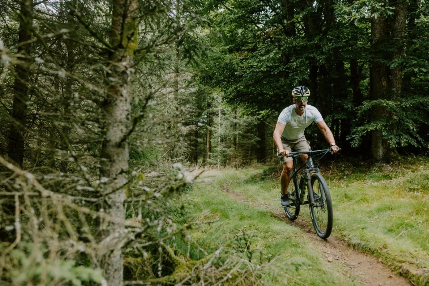 Natural landscape in STF Villa Söderåsen B&B