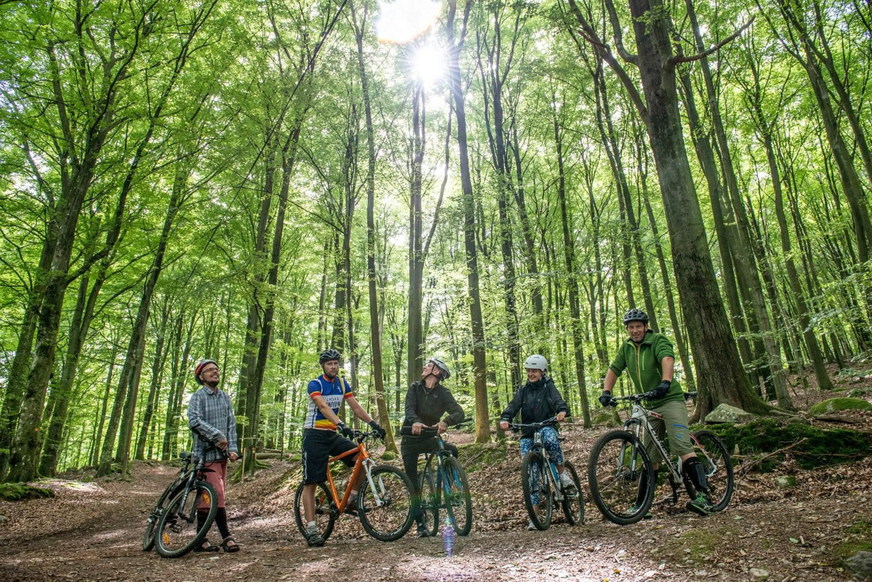Natural landscape in STF Villa Söderåsen B&B