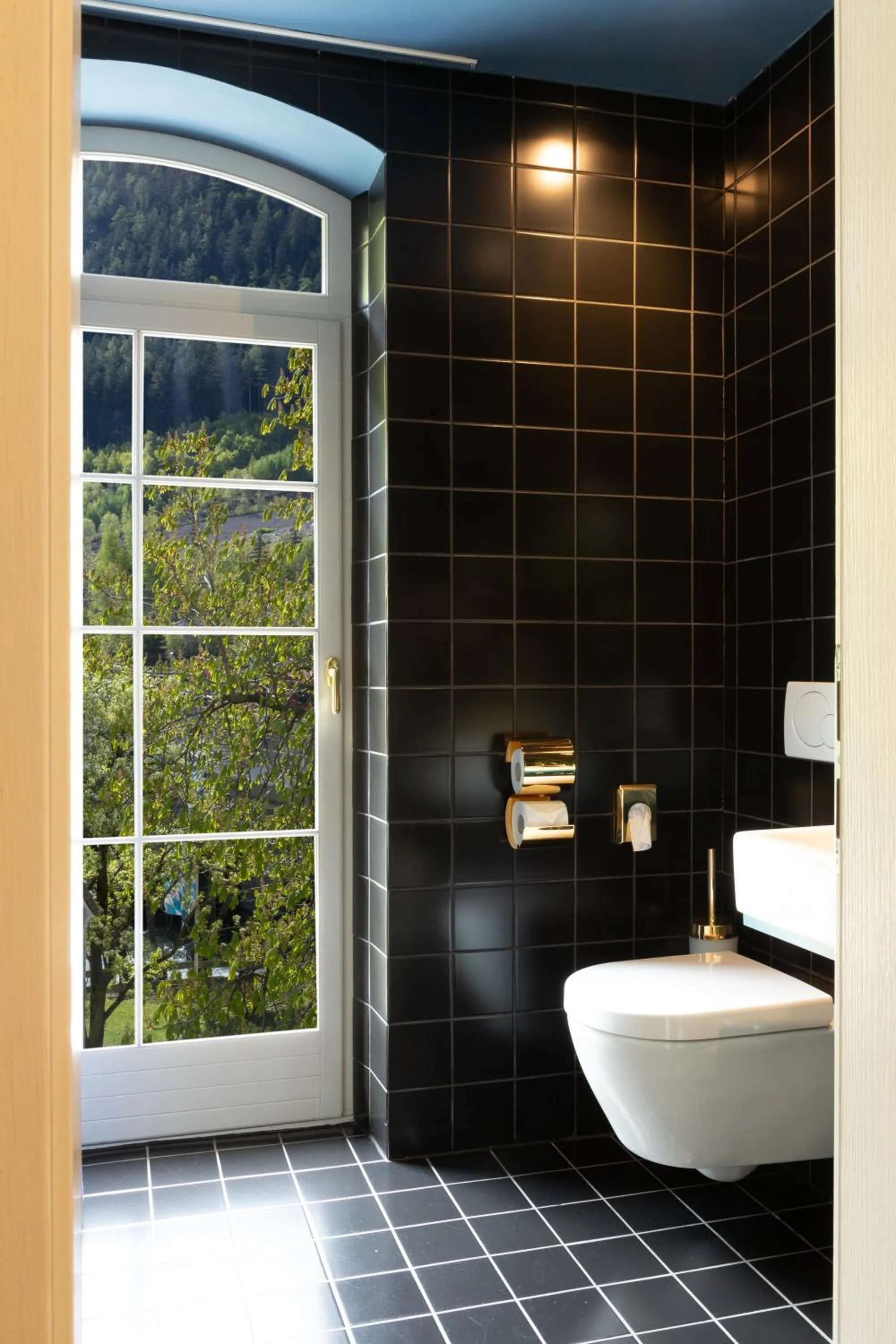 Toilet in Hotel Sachsenklemme