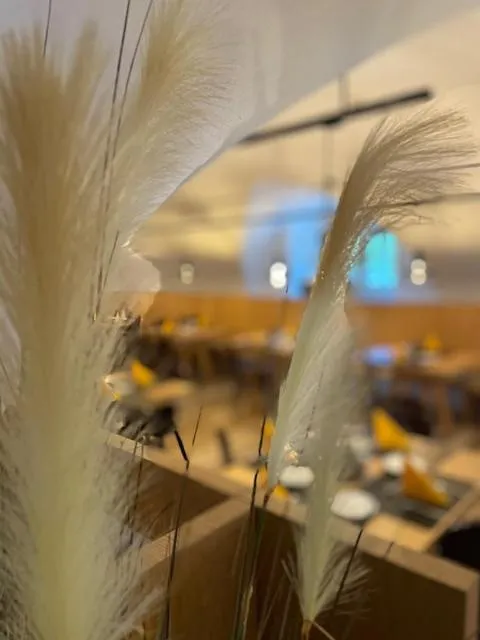 Breakfast in Hotel Sachsenklemme