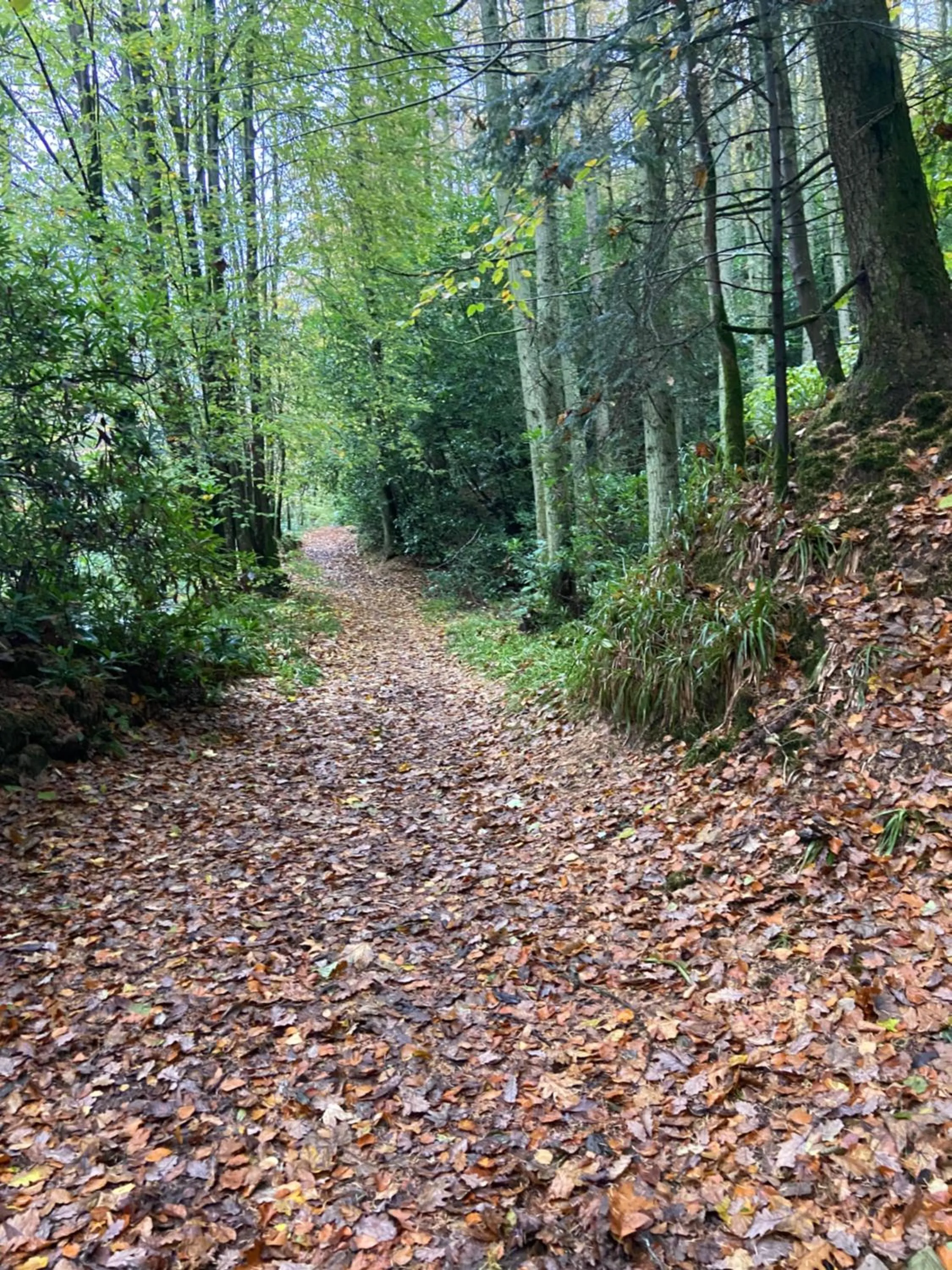Hiking in The Red Admiral Gosforth CA20 1BP