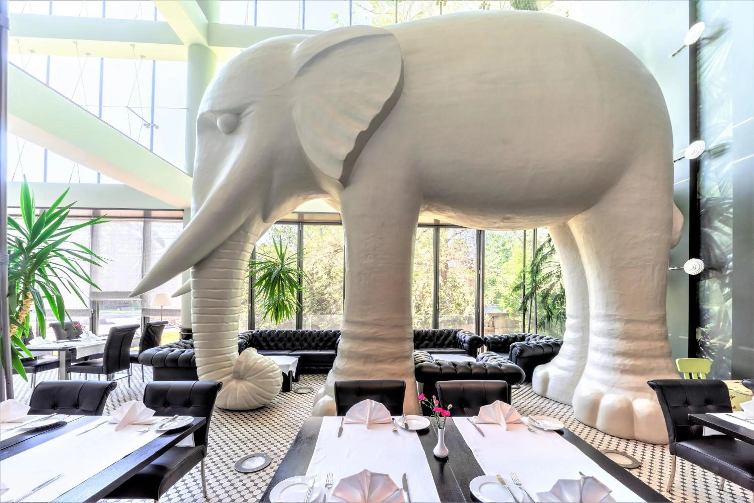 Restaurant/places to eat in Rixwell Elefant Hotel