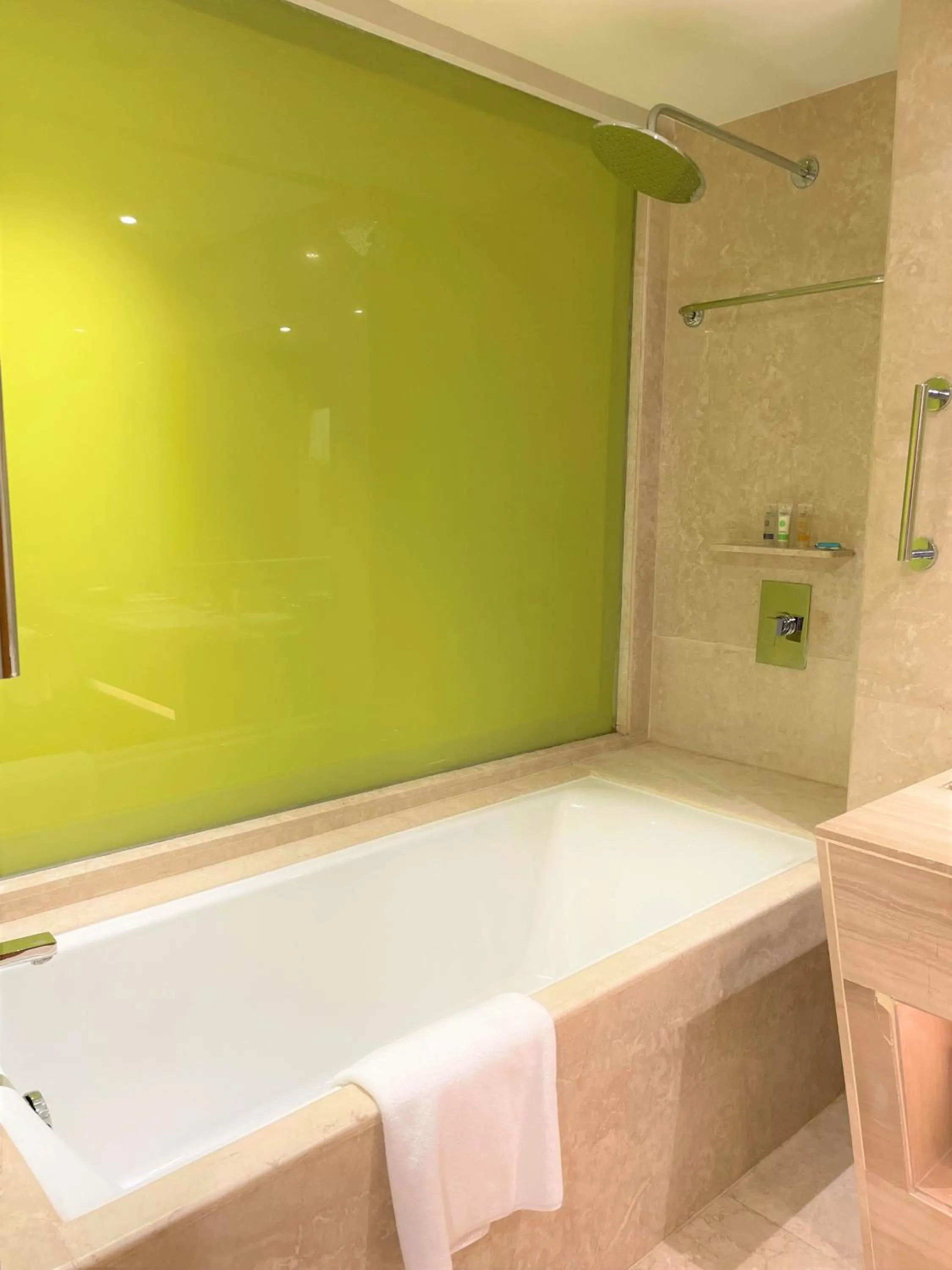 Bathroom in Hyatt Centric Janakpuri New Delhi