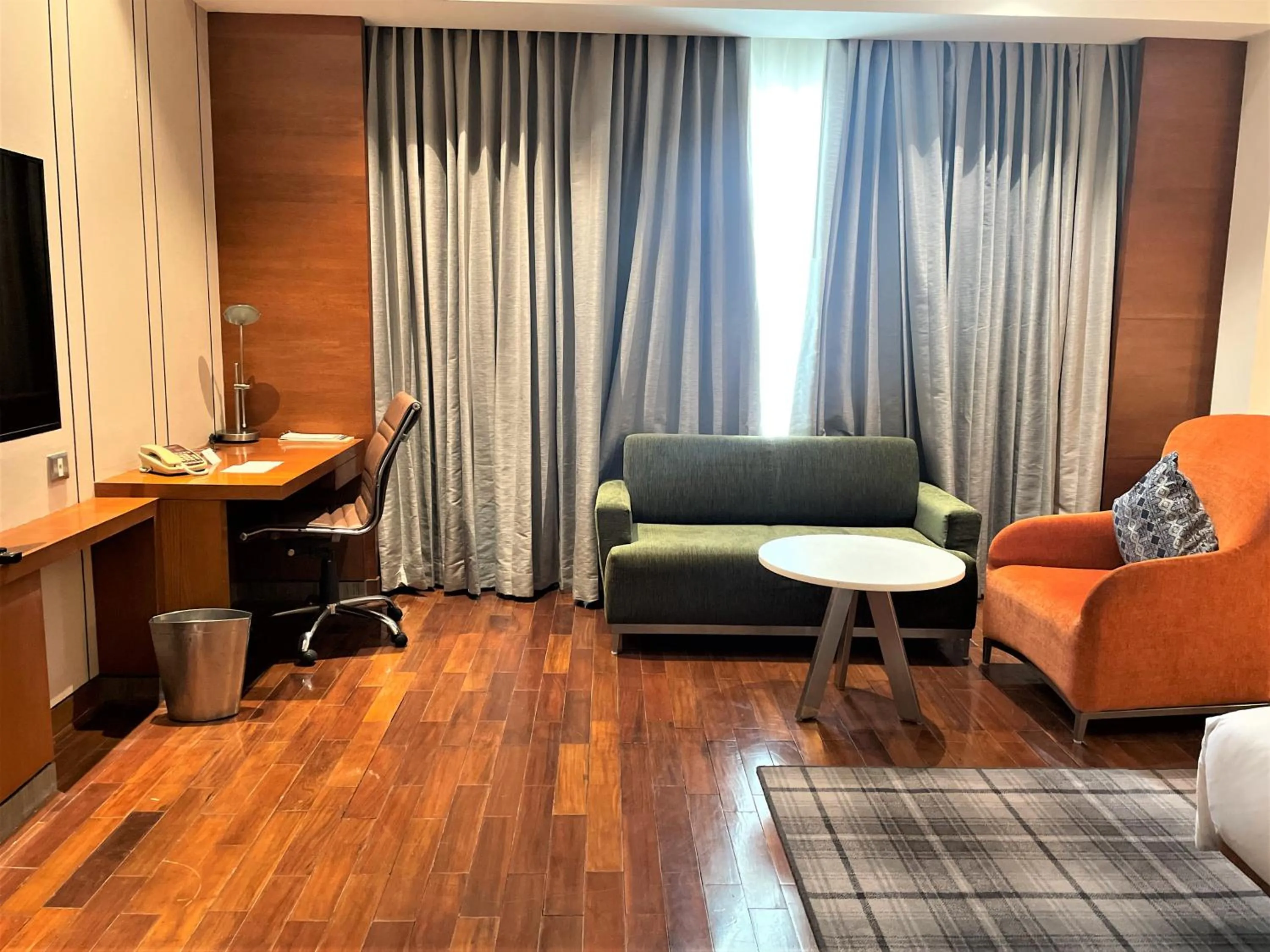 Communal lounge/ TV room in Hyatt Centric Janakpuri New Delhi