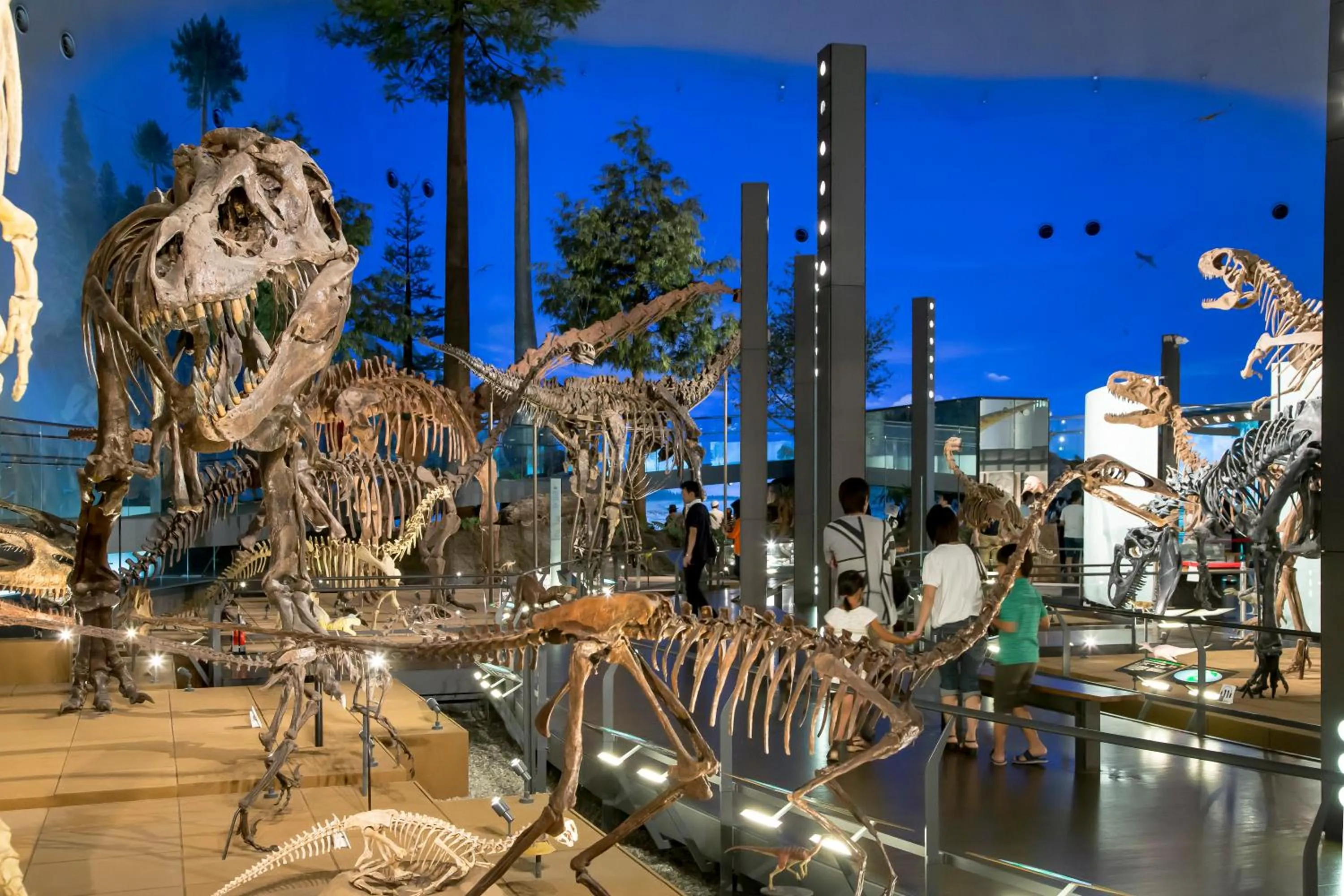 Entertainment in Awara Kitagata Onsen Kohanso Hana Yurari